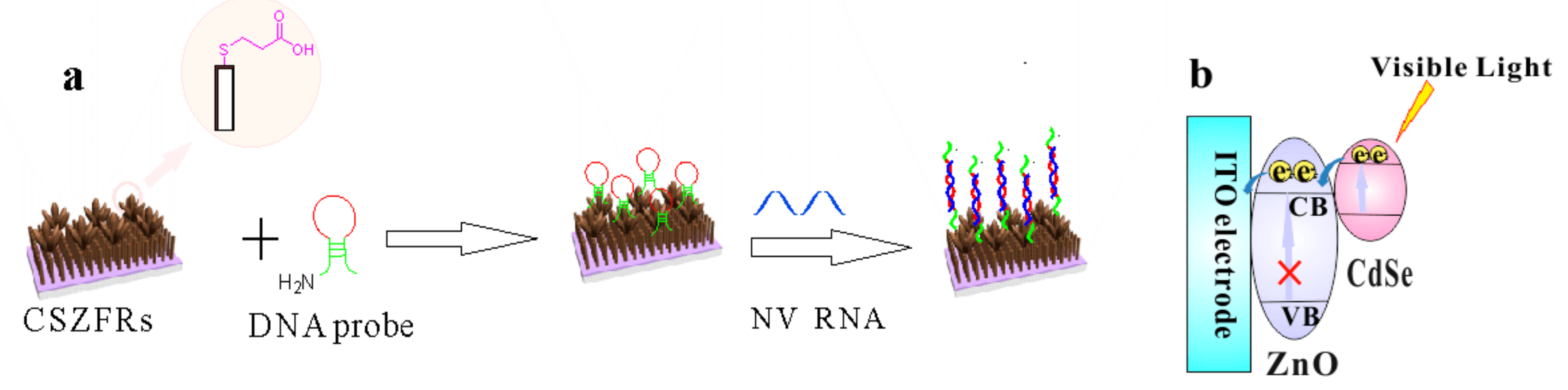 Sensors 18 02980 g001