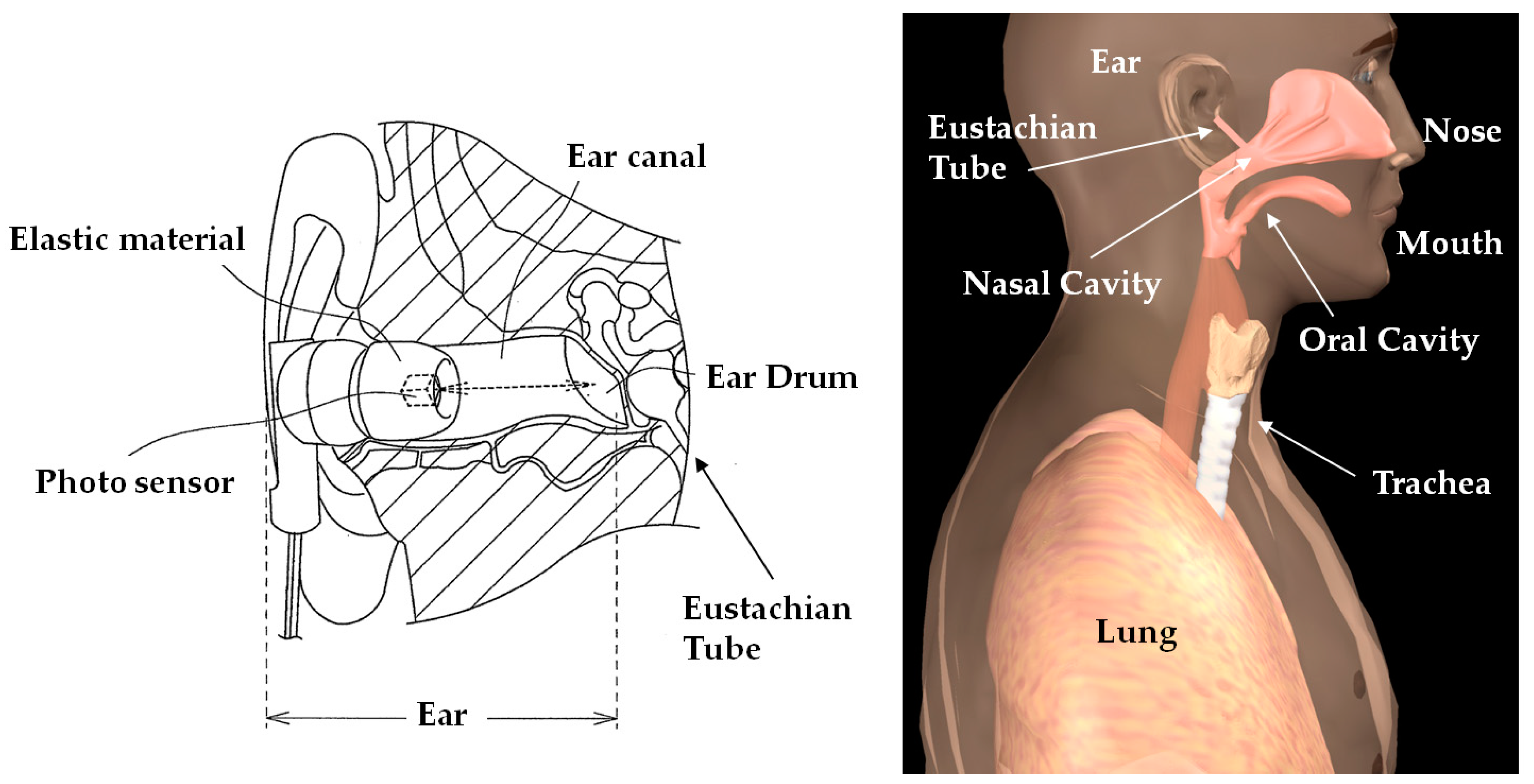 Sensors 18 03020 g003