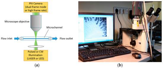 A Review of Planar PIV Systems and Image Processing Tools for Lab-On ...