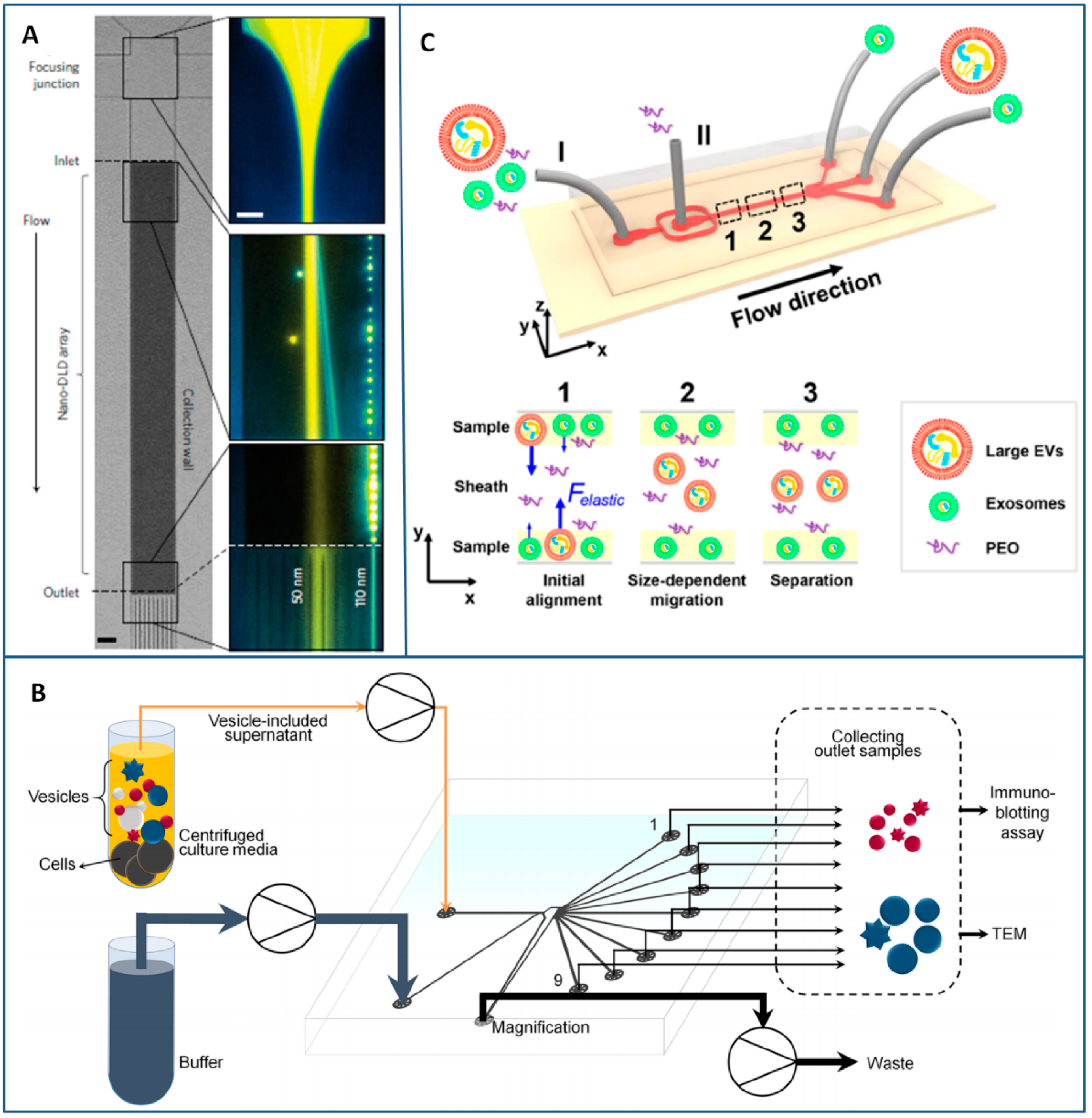 Sensors 18 03175 g005 Sensors 18 03175 g005
