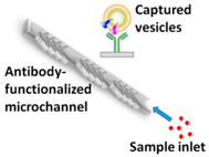 Sensors 18 03175 i001 Sensors 18 03175 i001