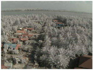 Sensors 18 03257 i002