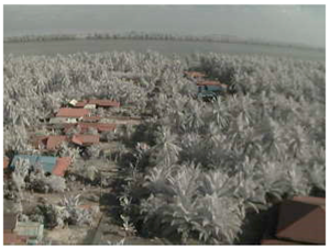 Sensors 18 03257 i003