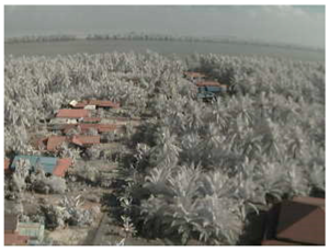 Sensors 18 03257 i005