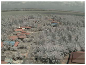 Sensors 18 03257 i010