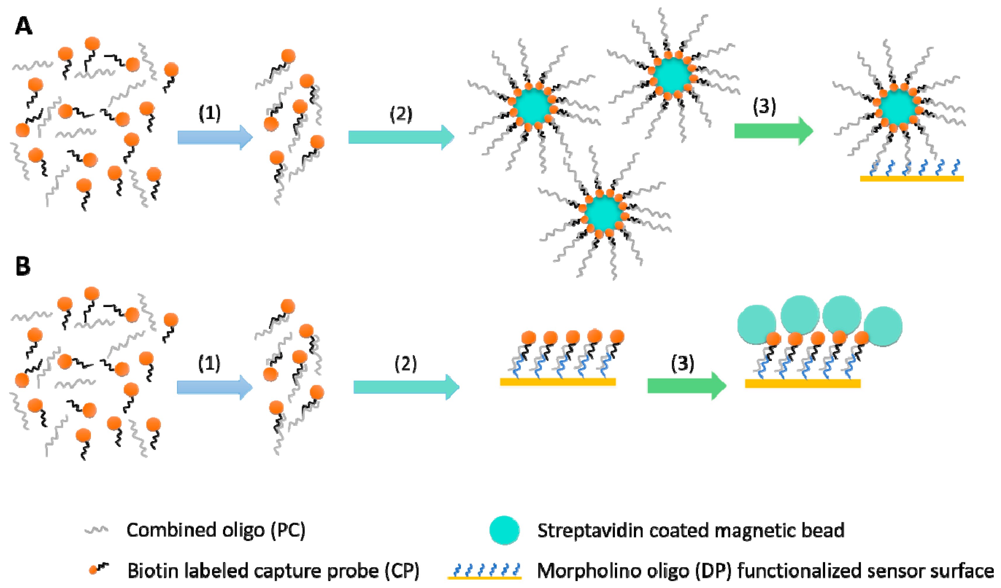 Sensors 18 03259 g002 Sensors 18 03259 g002