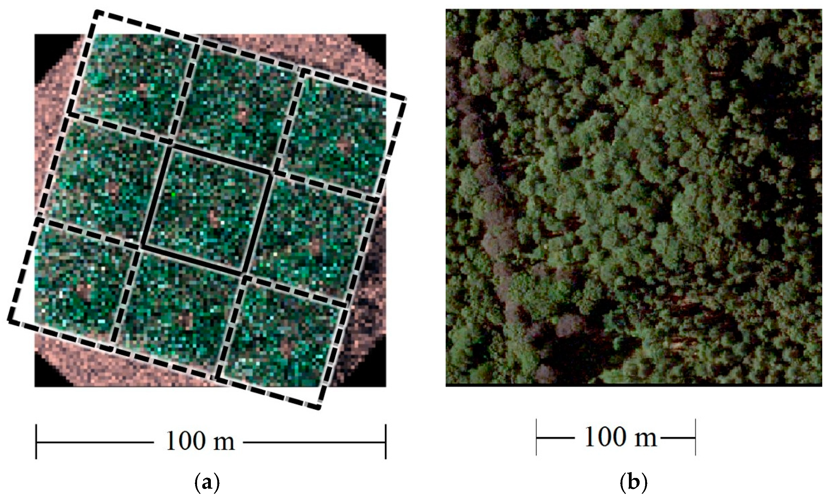 Sensors 18 03357 g002 Sensors 18 03357 g002