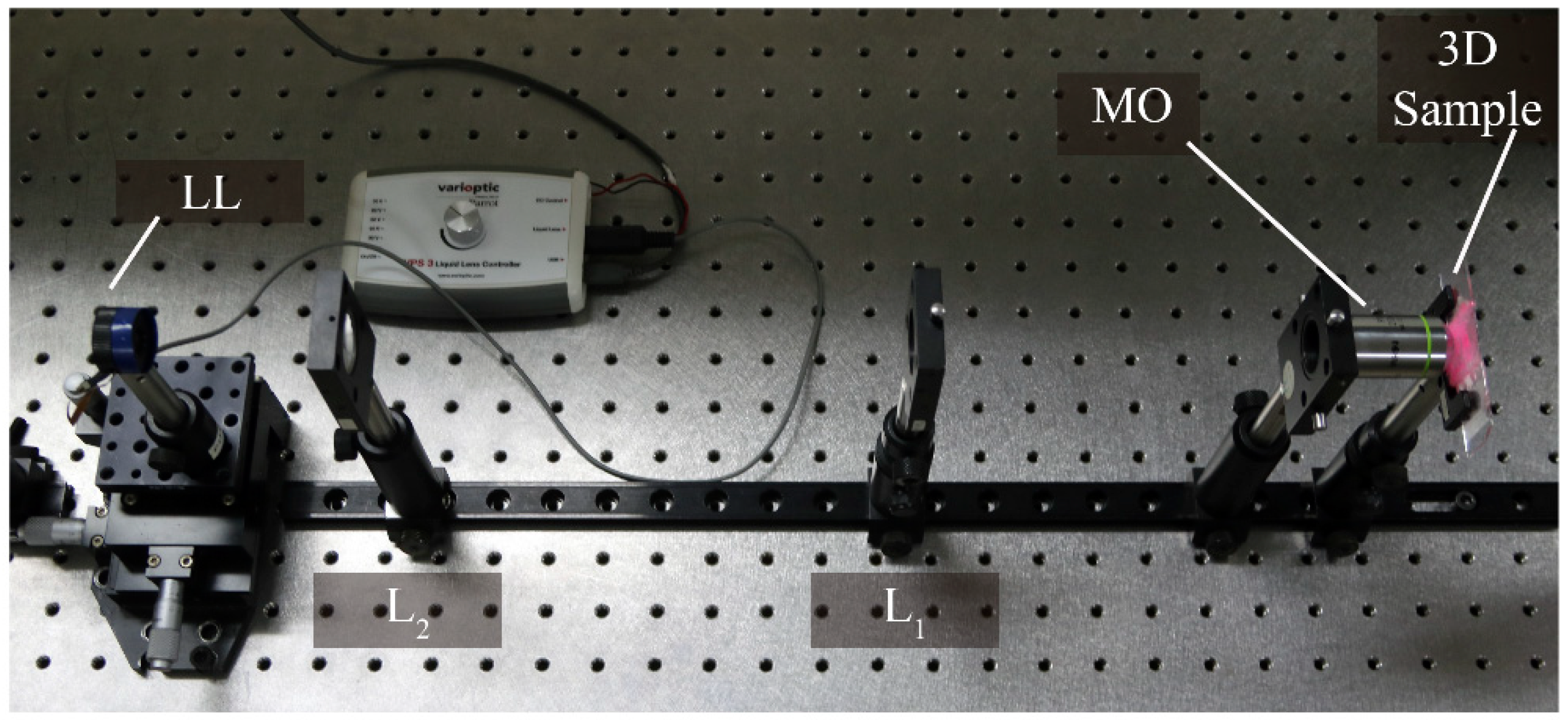 Sensors 18 03383 g004