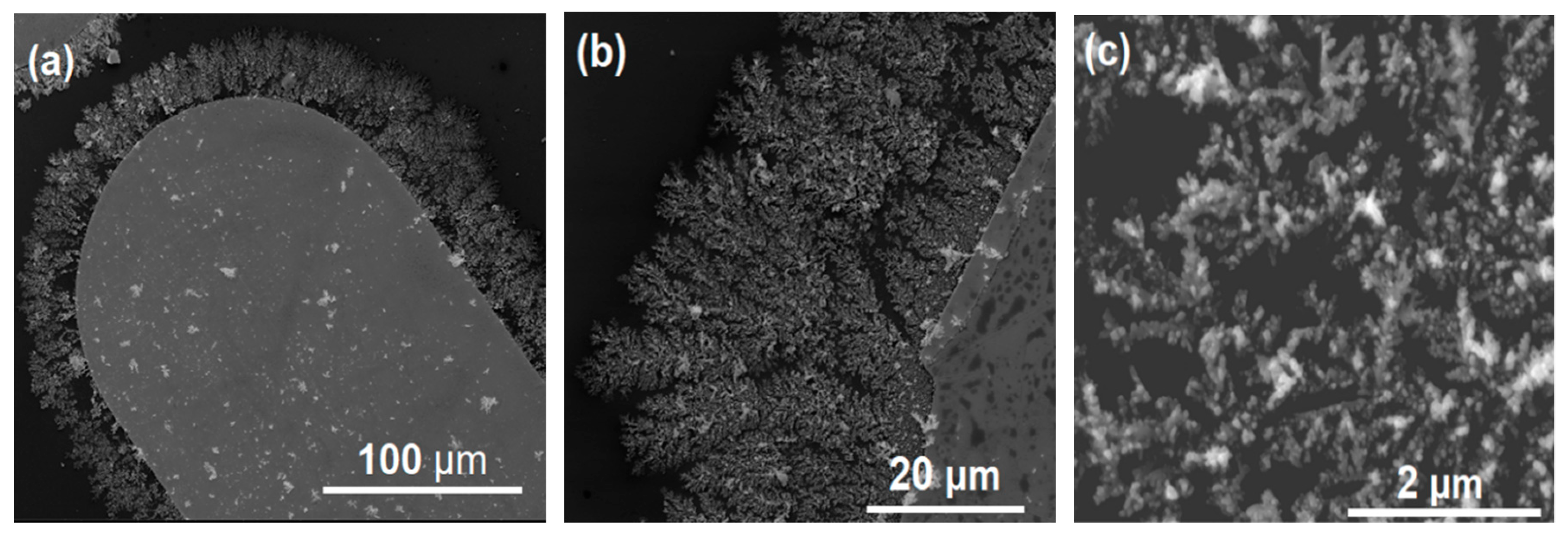 Sensors 18 03404 g003 Sensors 18 03404 g003