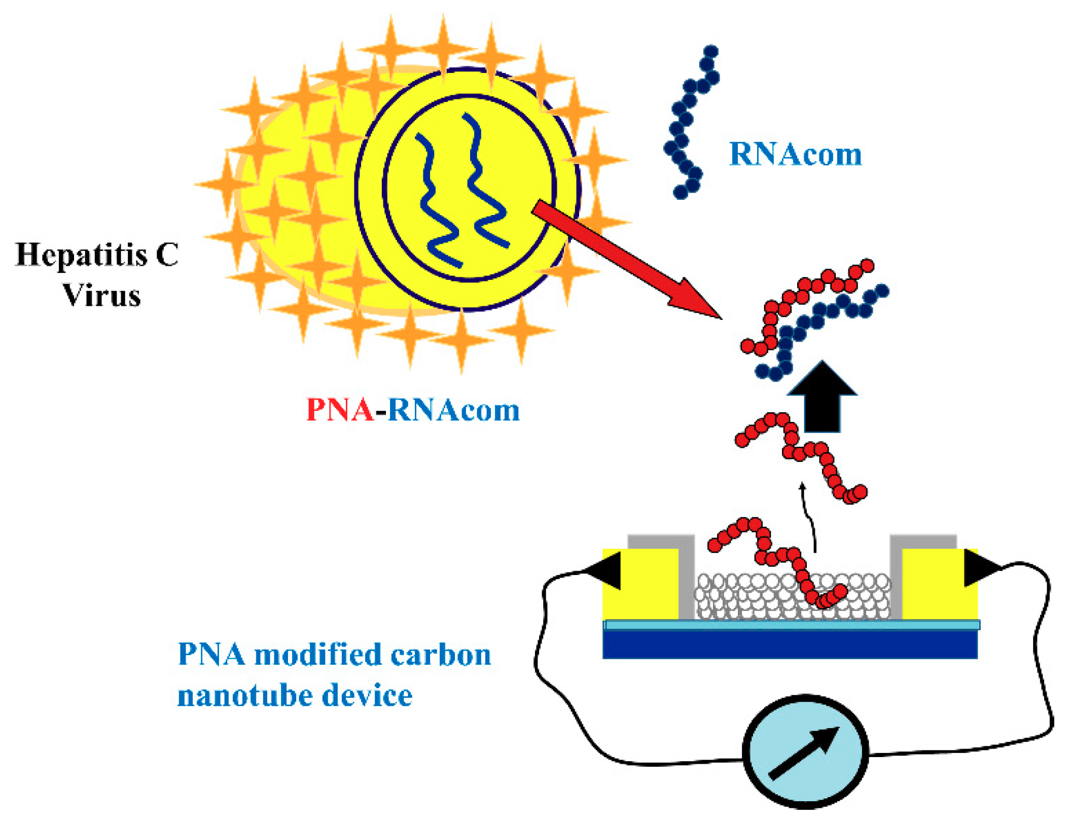 Sensors Free Full Text Hcv Detection Discrimination And