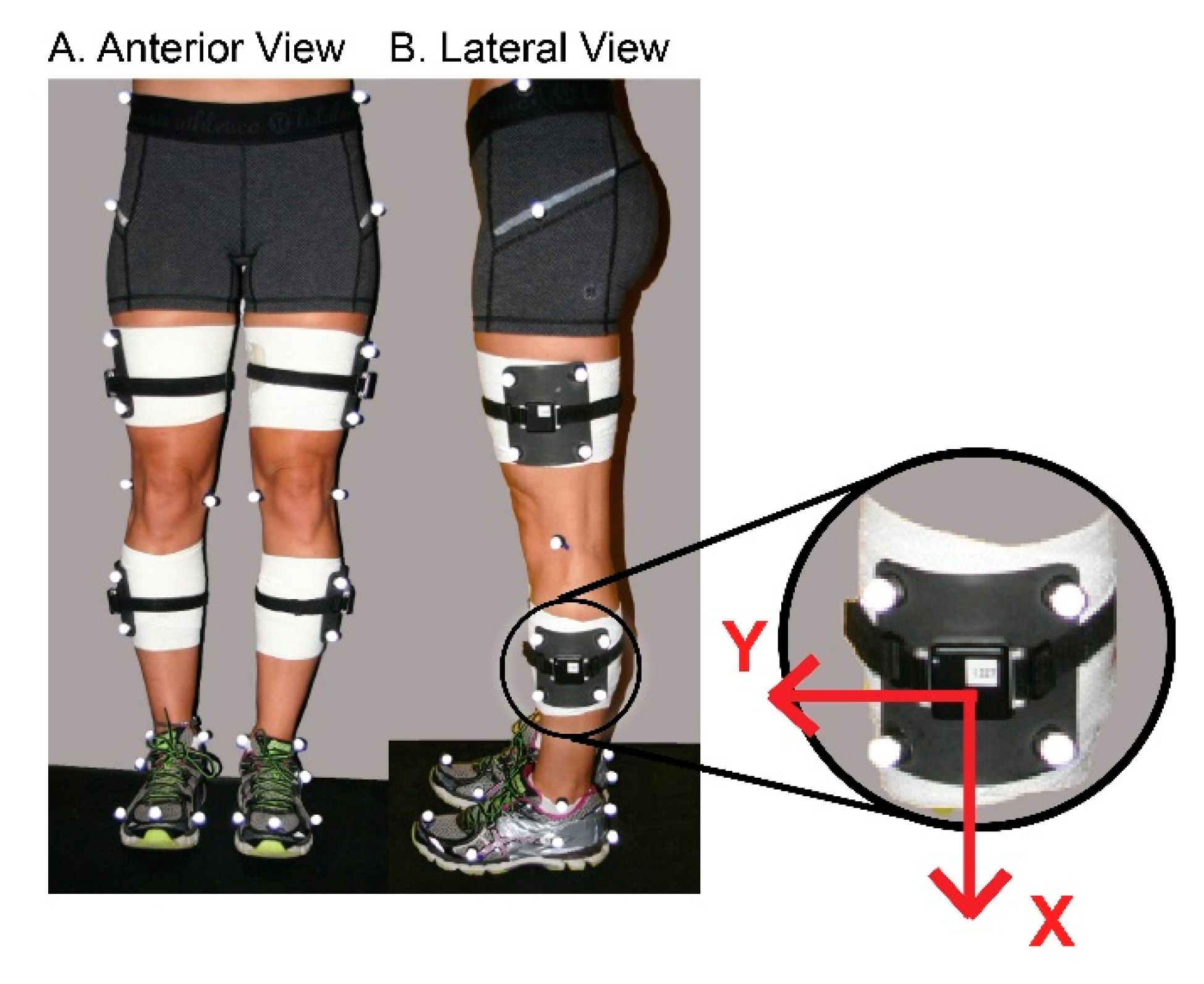 Sensors 18 03460 g001