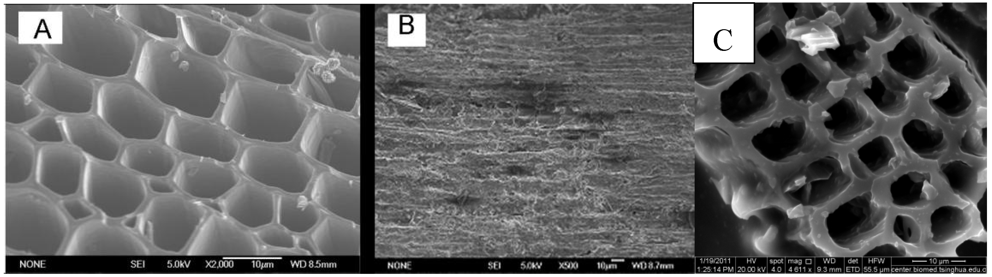 Sensors 18 03464 g001 Sensors 18 03464 g001