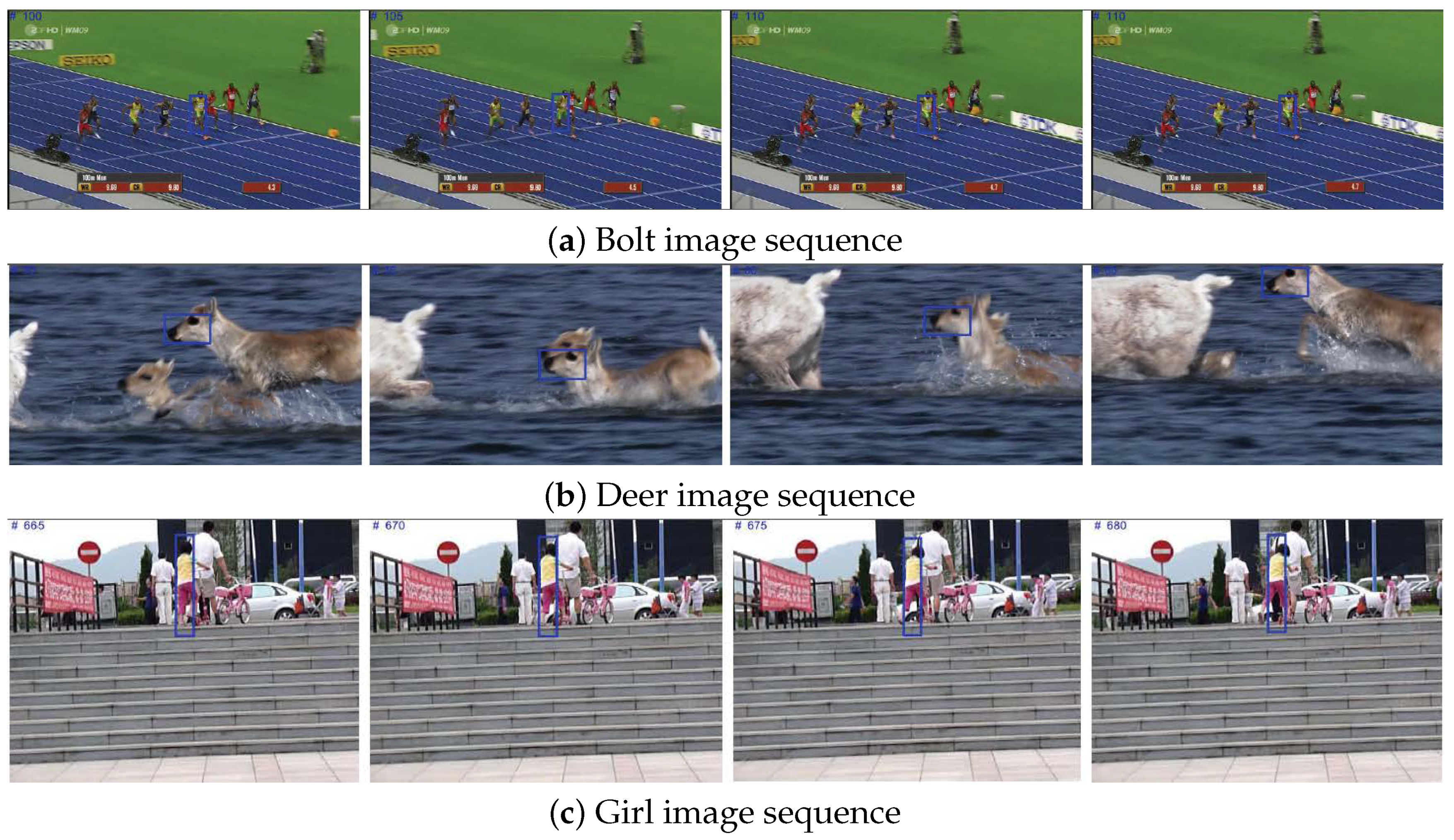 Visual Object Tracking Using Structured Sparse PCA-Based Appearance ...