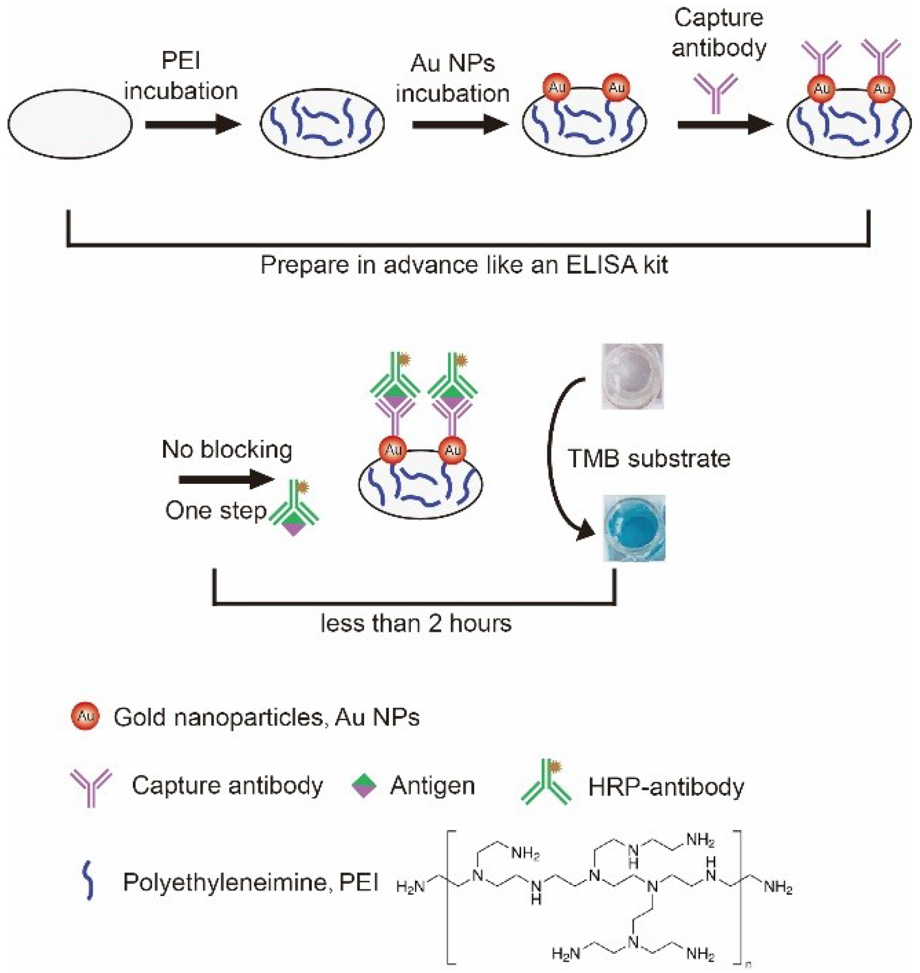SHE TOKYO Elisa block check