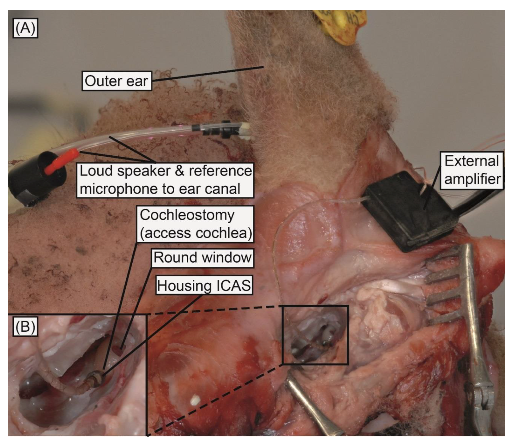 Sensors 18 03565 g002 Sensors 18 03565 g002