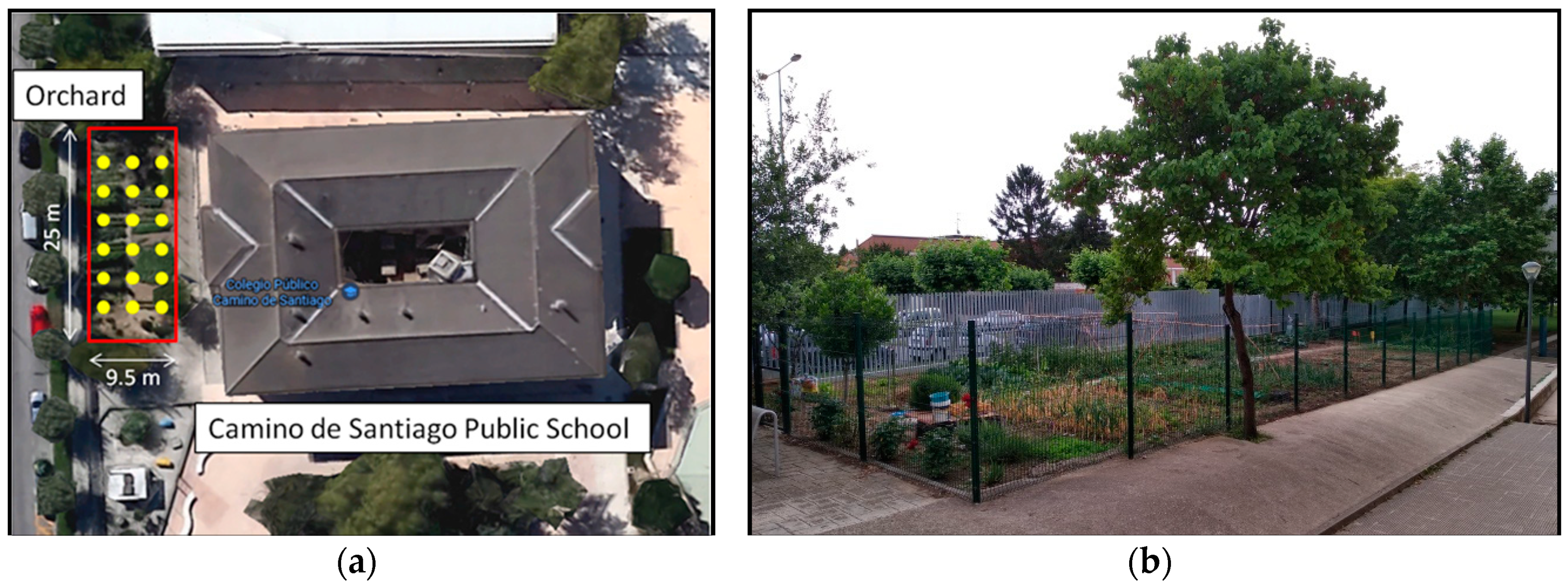 Sensors 18 03621 g001 550