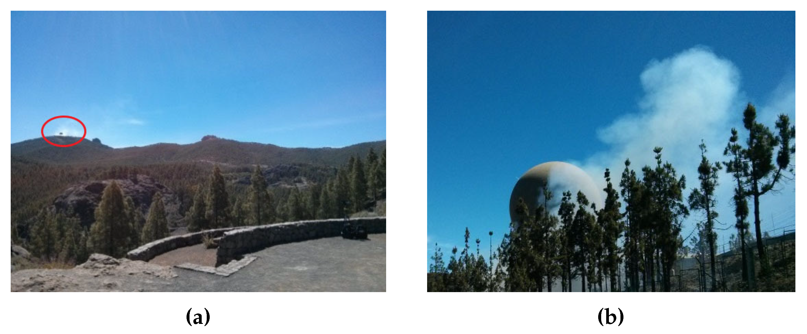 Sensors 18 03631 g010