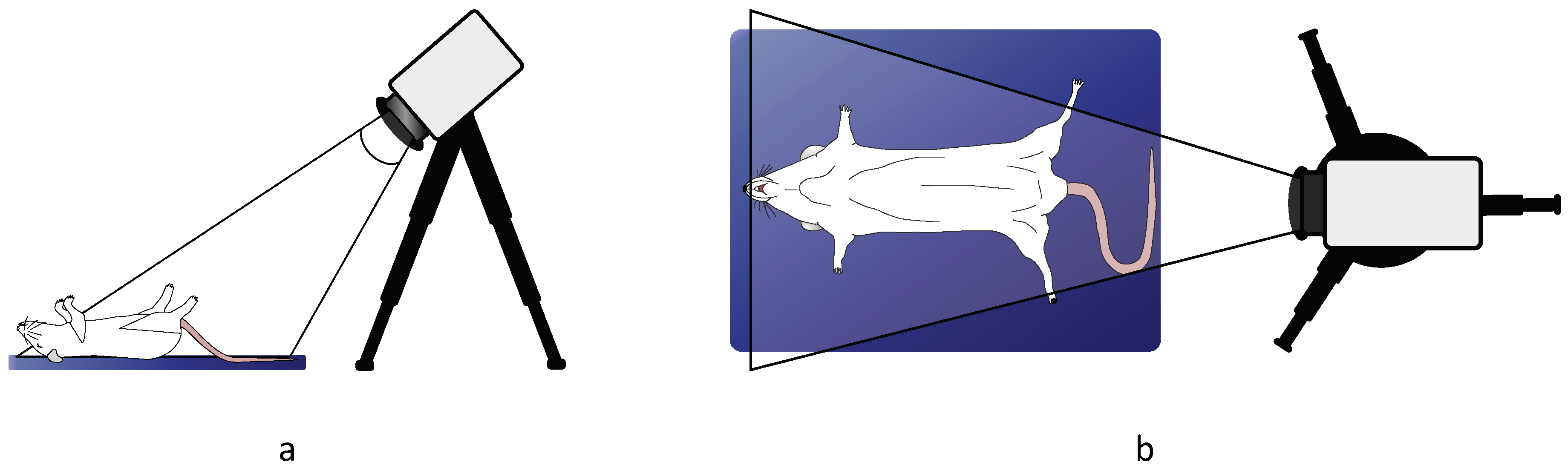 Sensors 18 03653 g002 Sensors 18 03653 g002