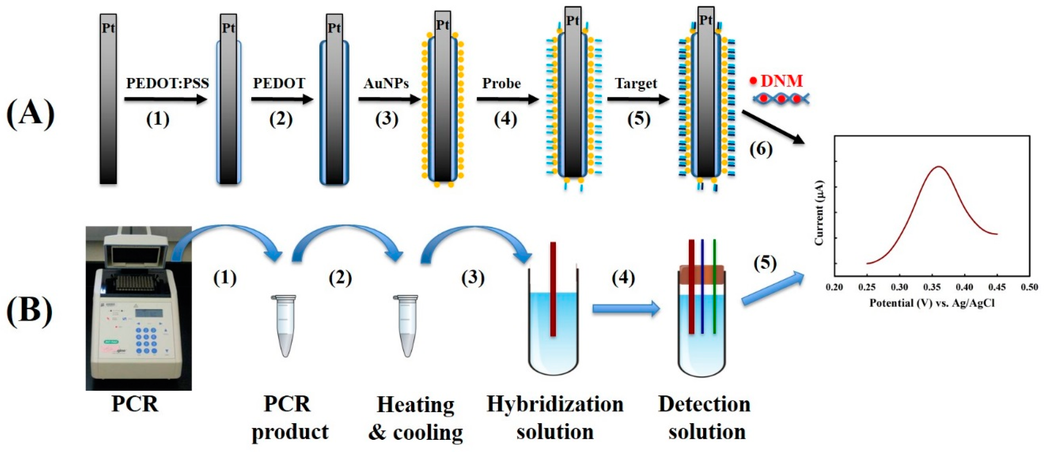 Sensors 18 03684 g001 Sensors 18 03684 g001