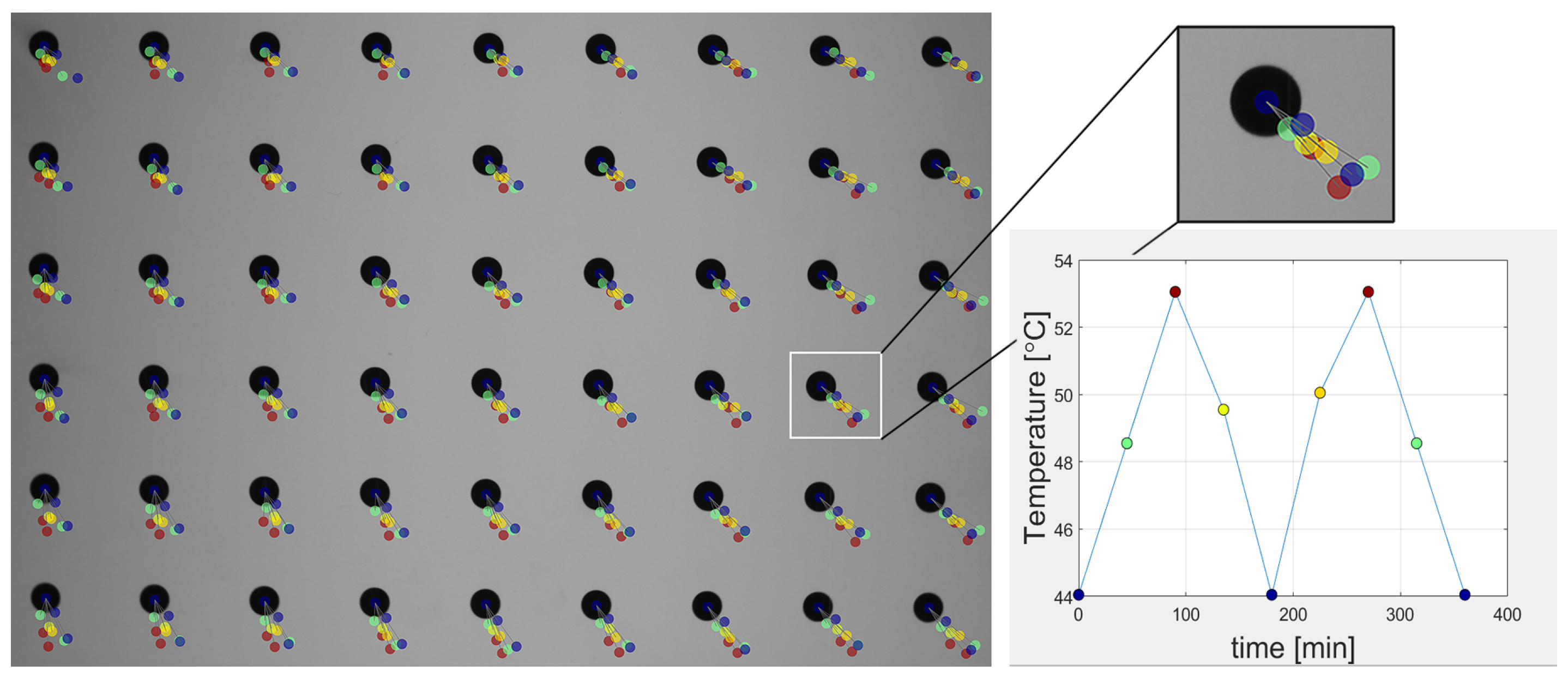 Sensors 18 03685 g006