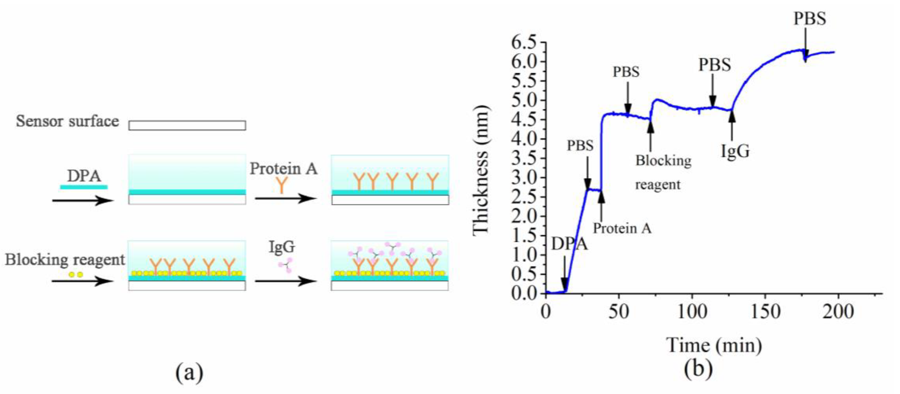 Sensors 18 03757 g006