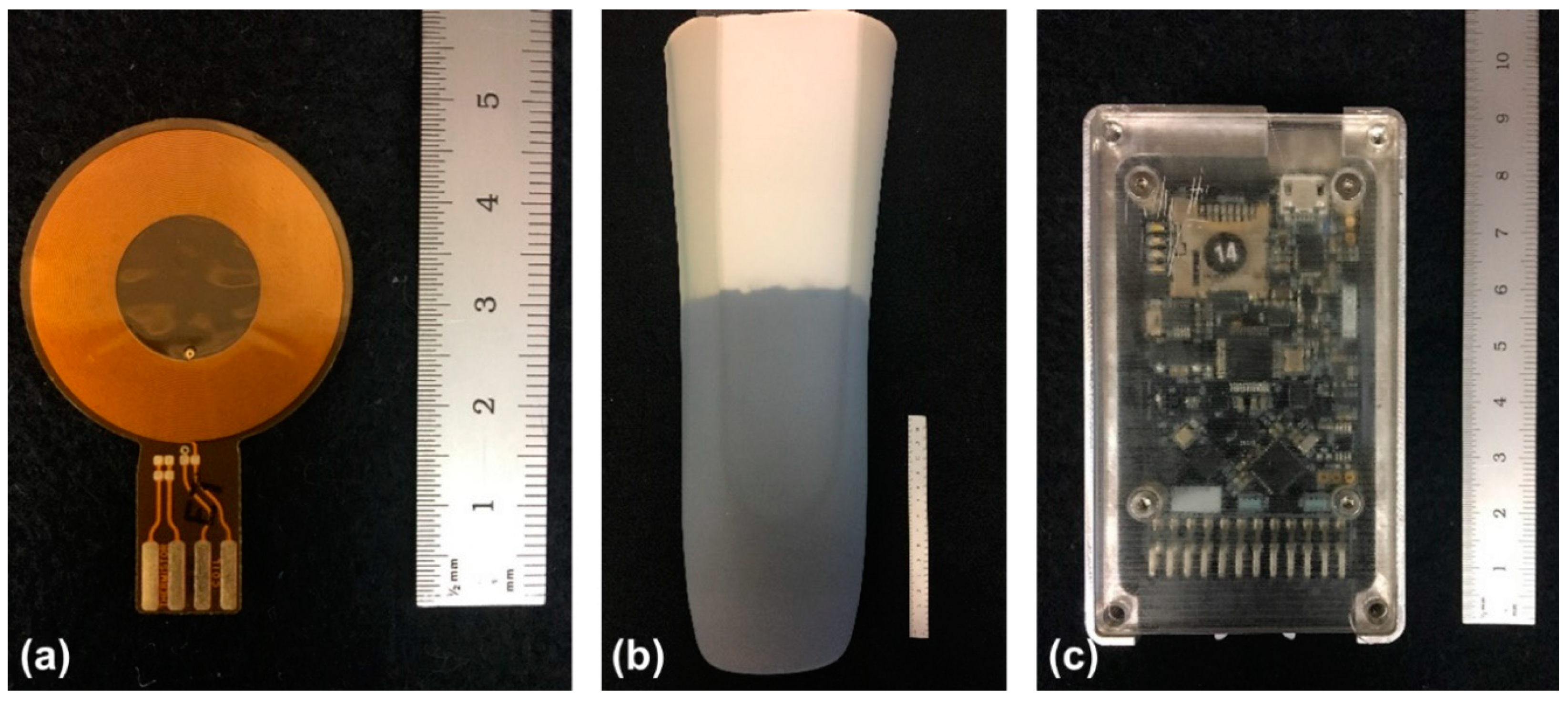 Sensors 18 03840 g001