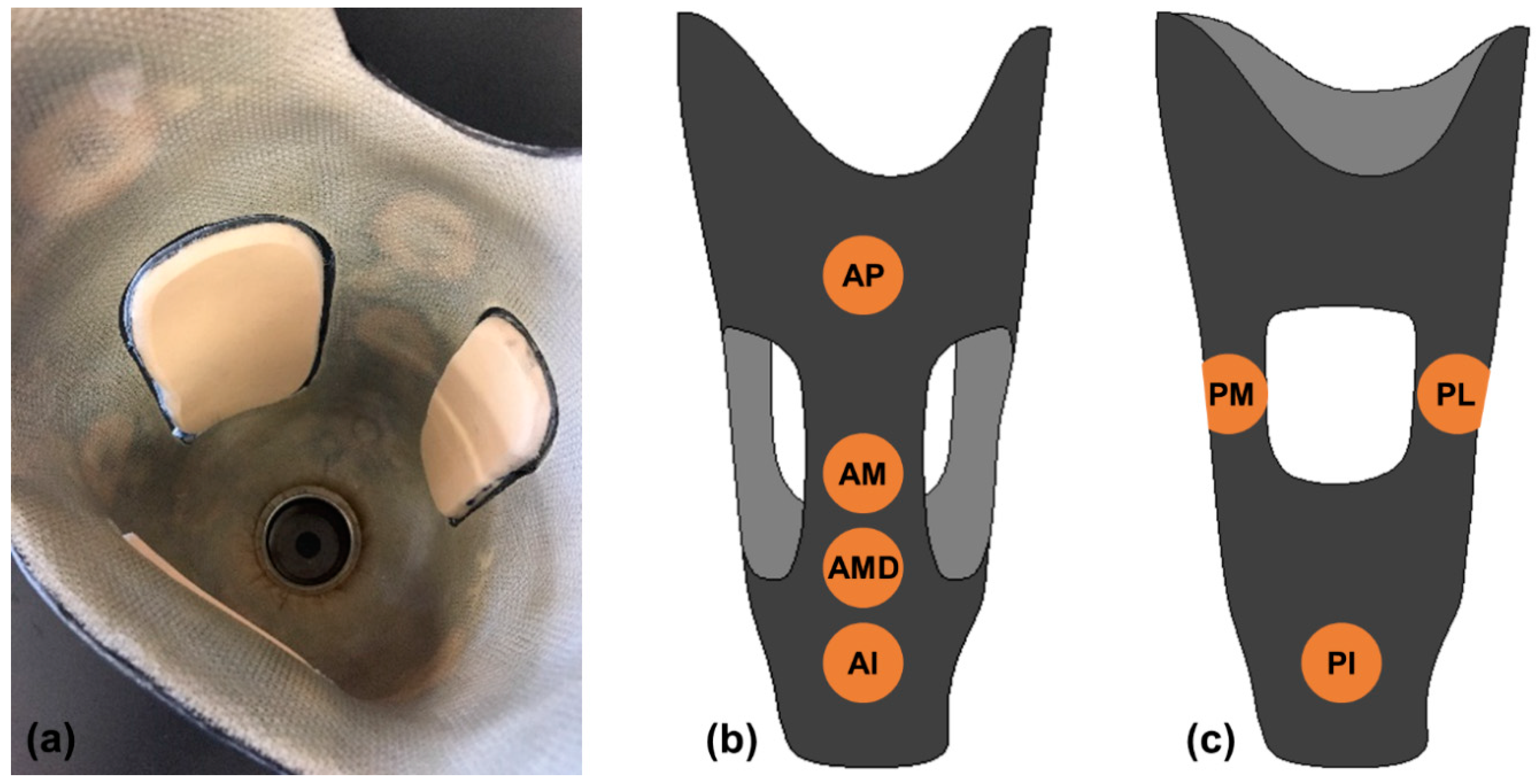 Sensors 18 03840 g002