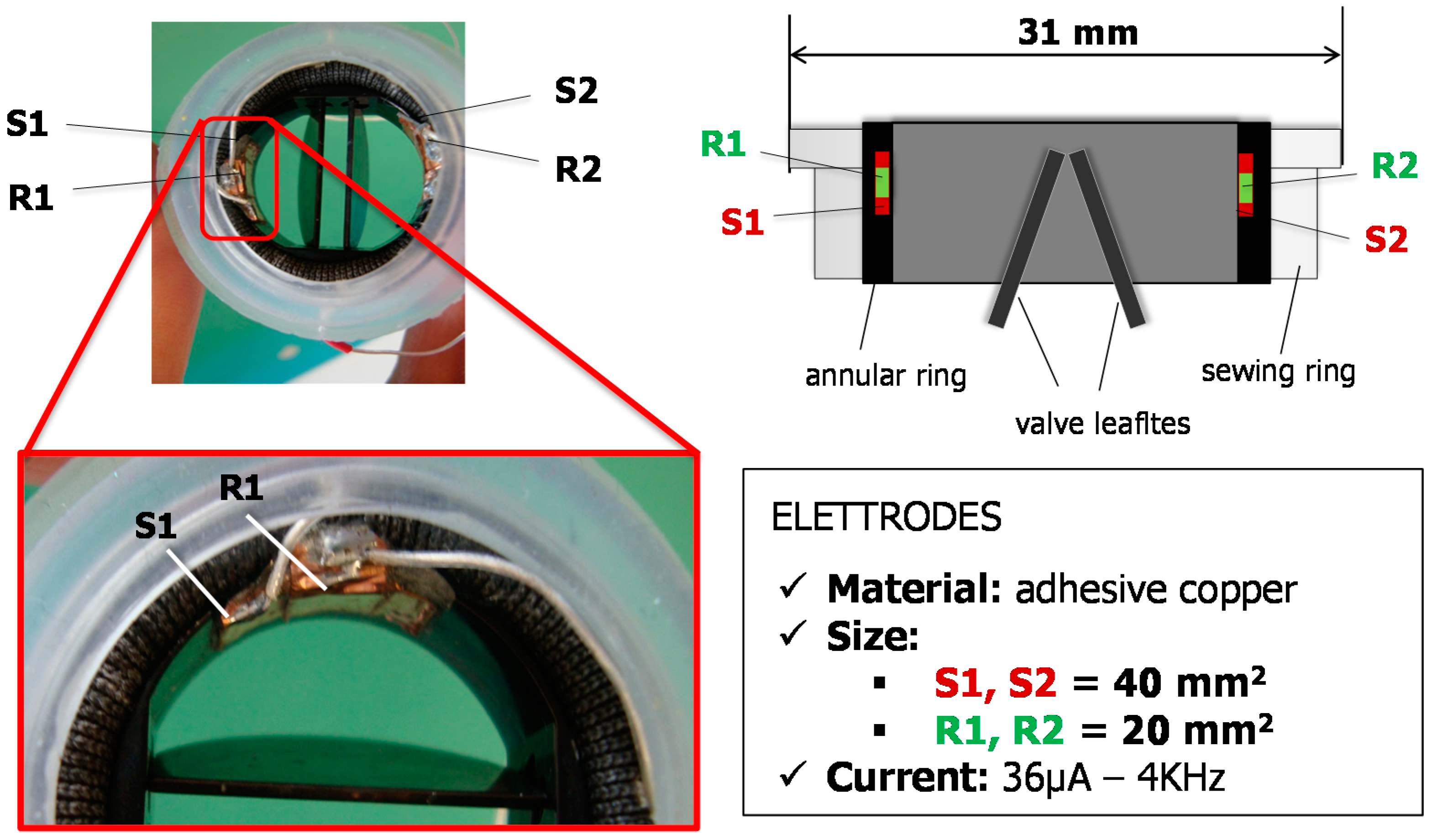 Sensors 18 03905 g002