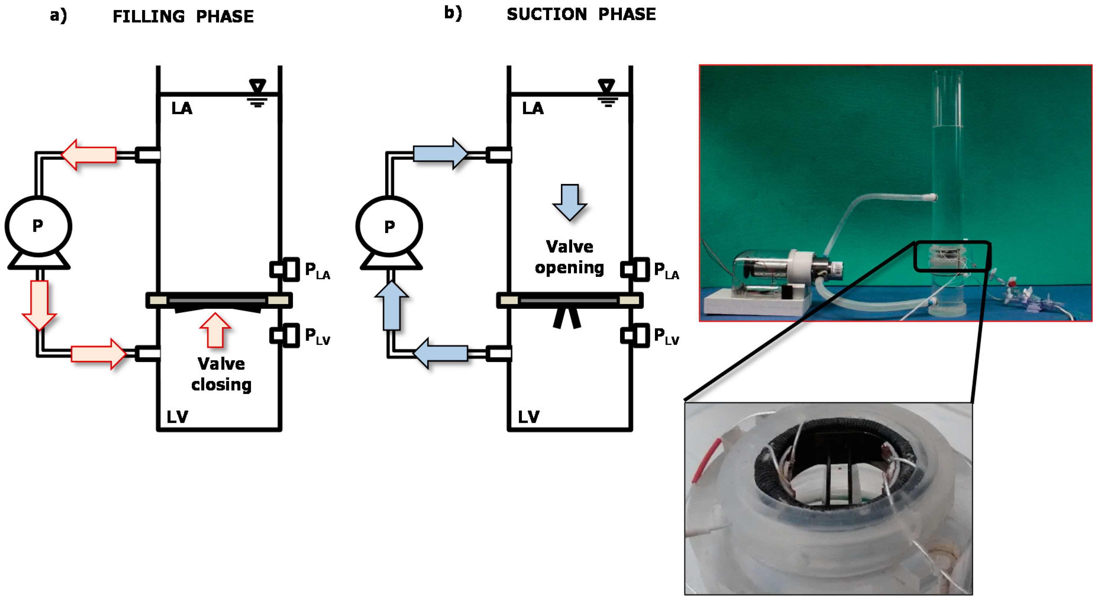 Sensors 18 03905 g003