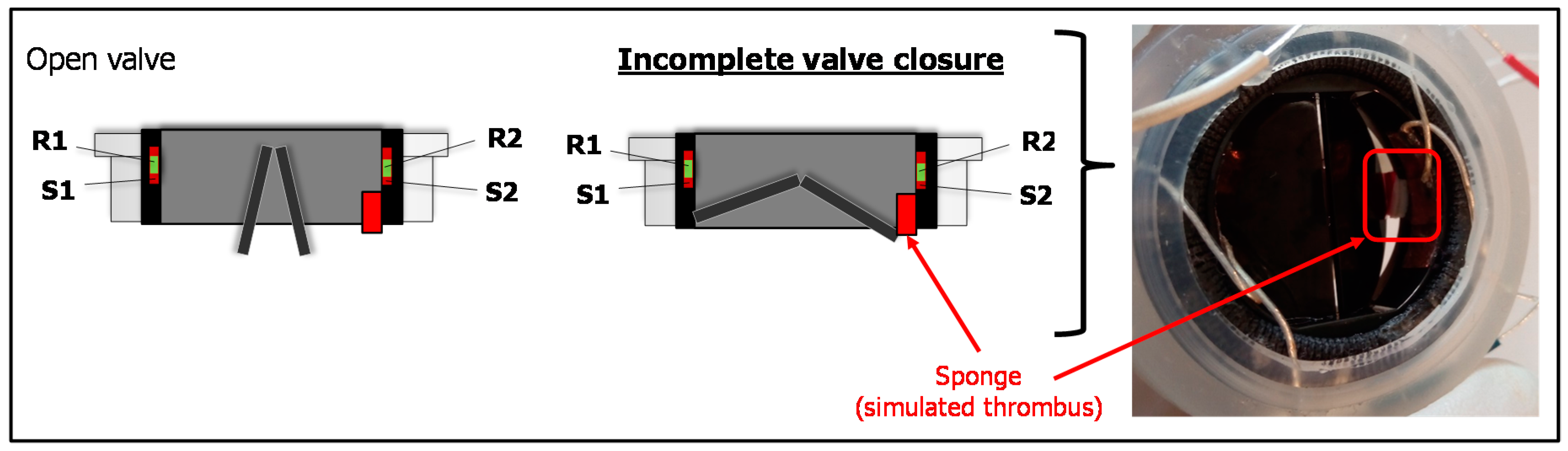 Sensors 18 03905 g004