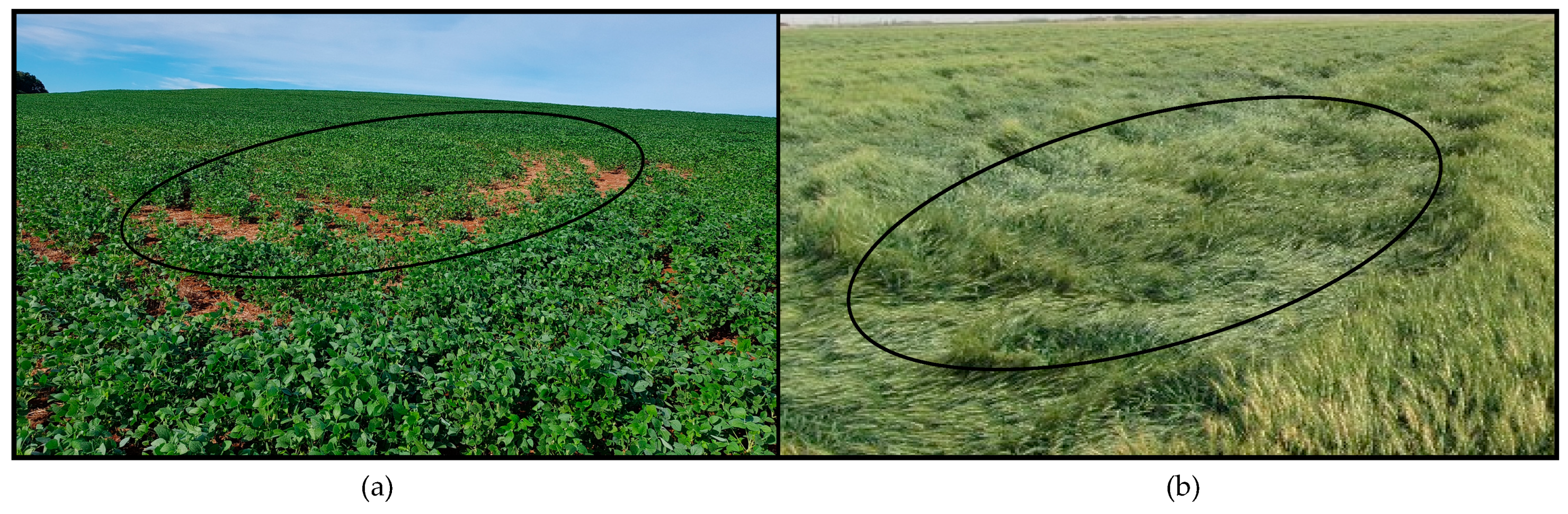 Sensors 18 03991 g001