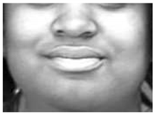 Sensors 18 03993 i008