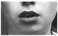 Sensors 18 03993 i013