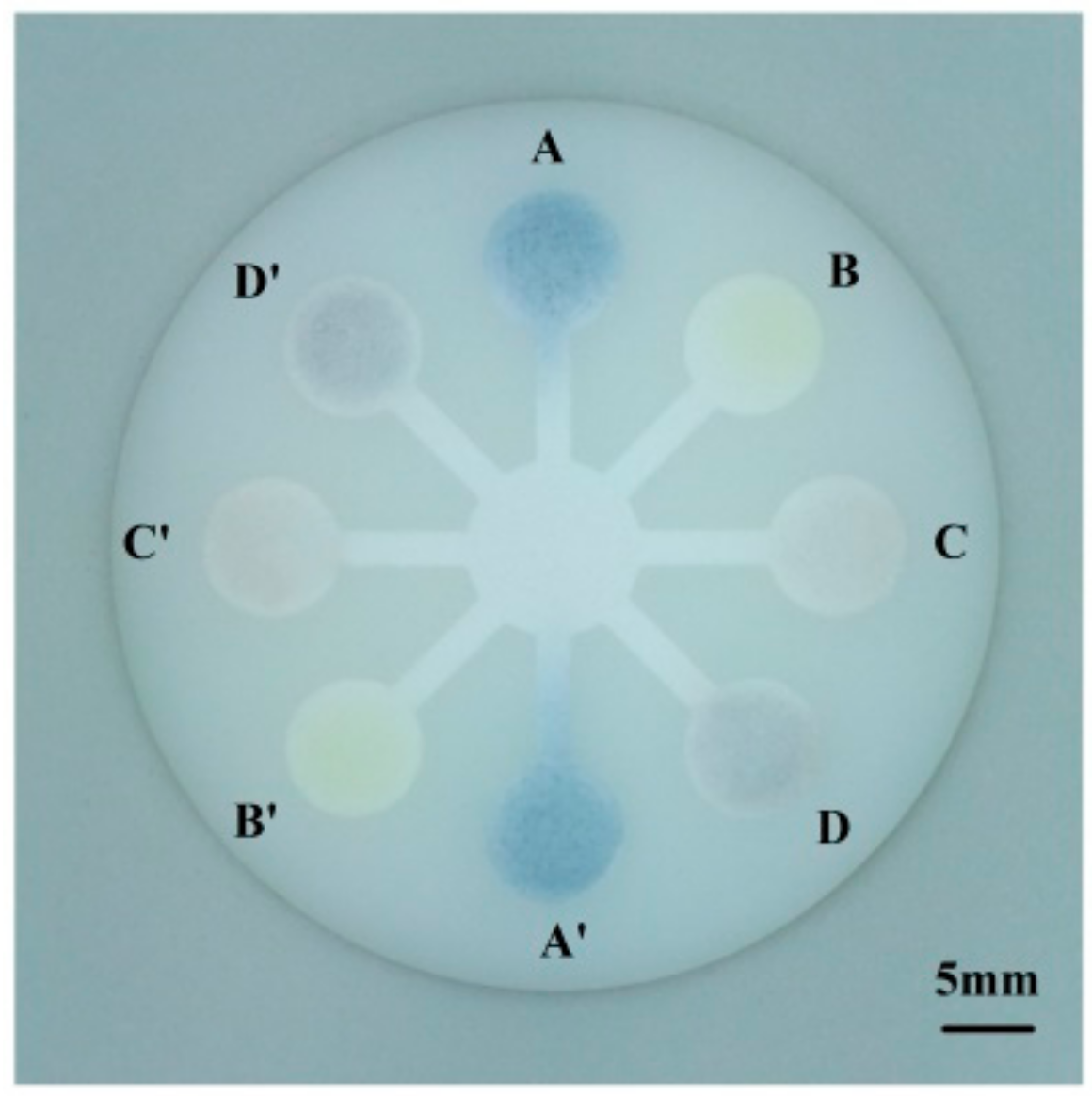 Sensors 18 04002 g005 550