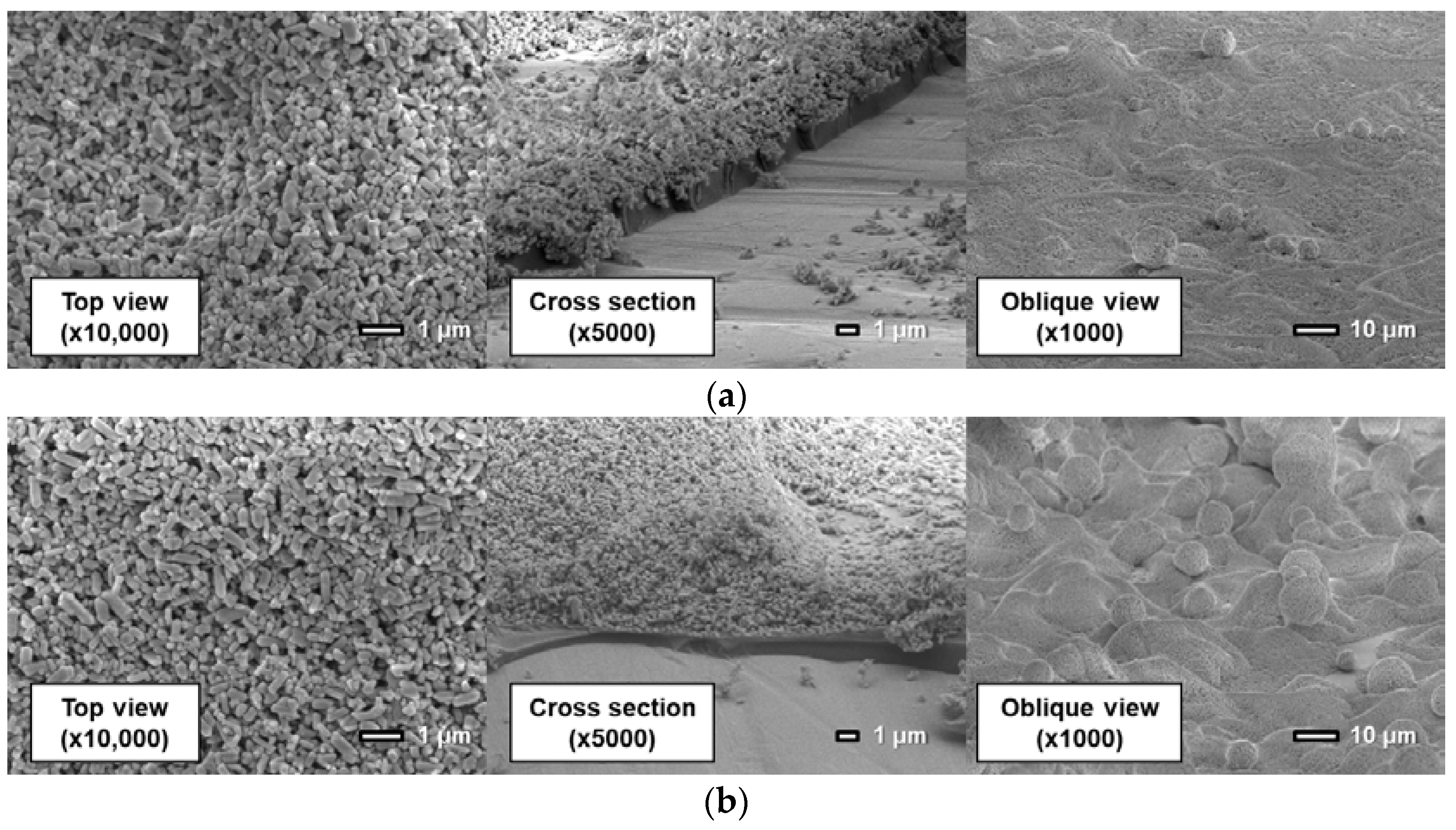 Sensors 18 04041 g013