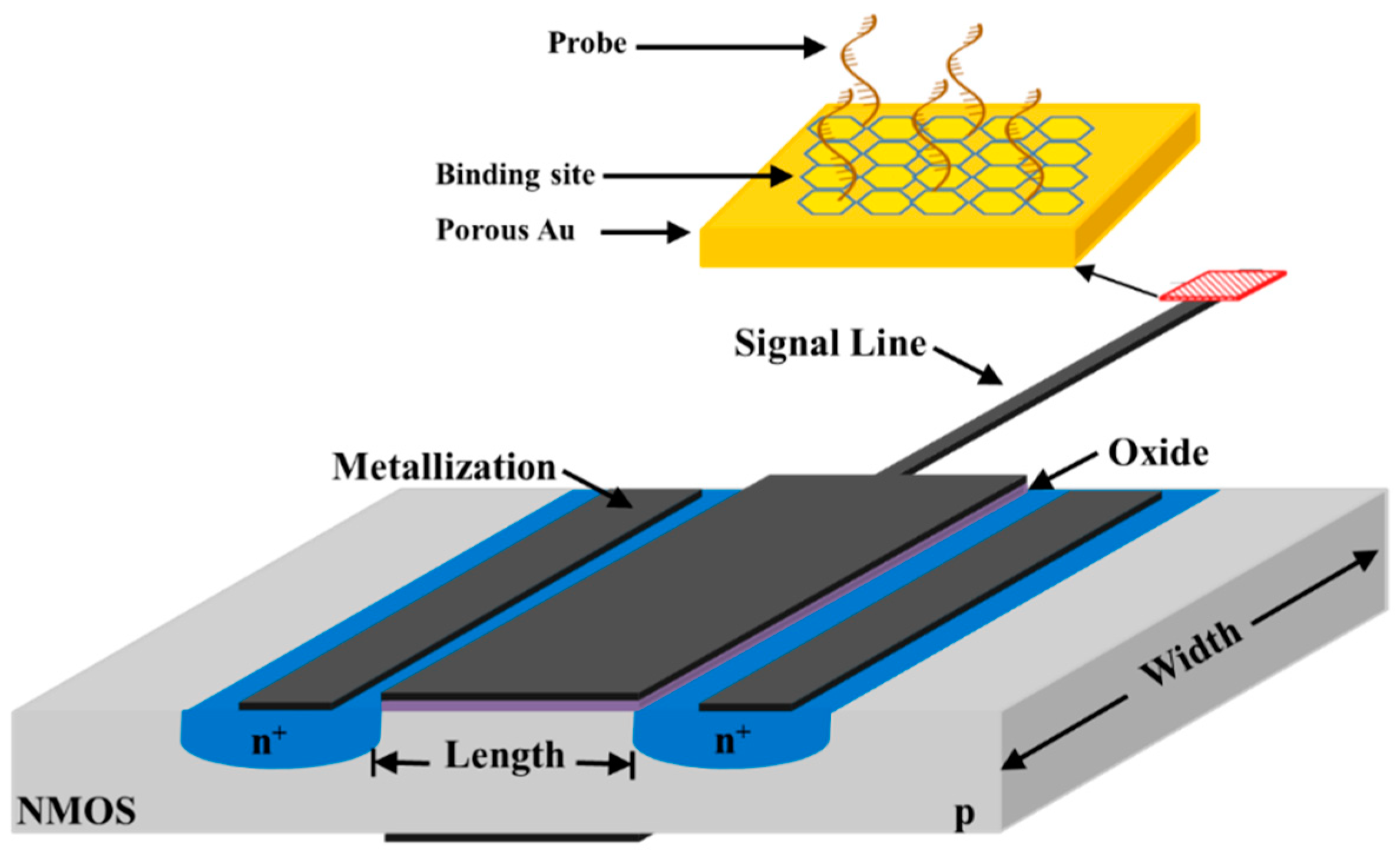Sensors 18 04042 g004 Sensors 18 04042 g004