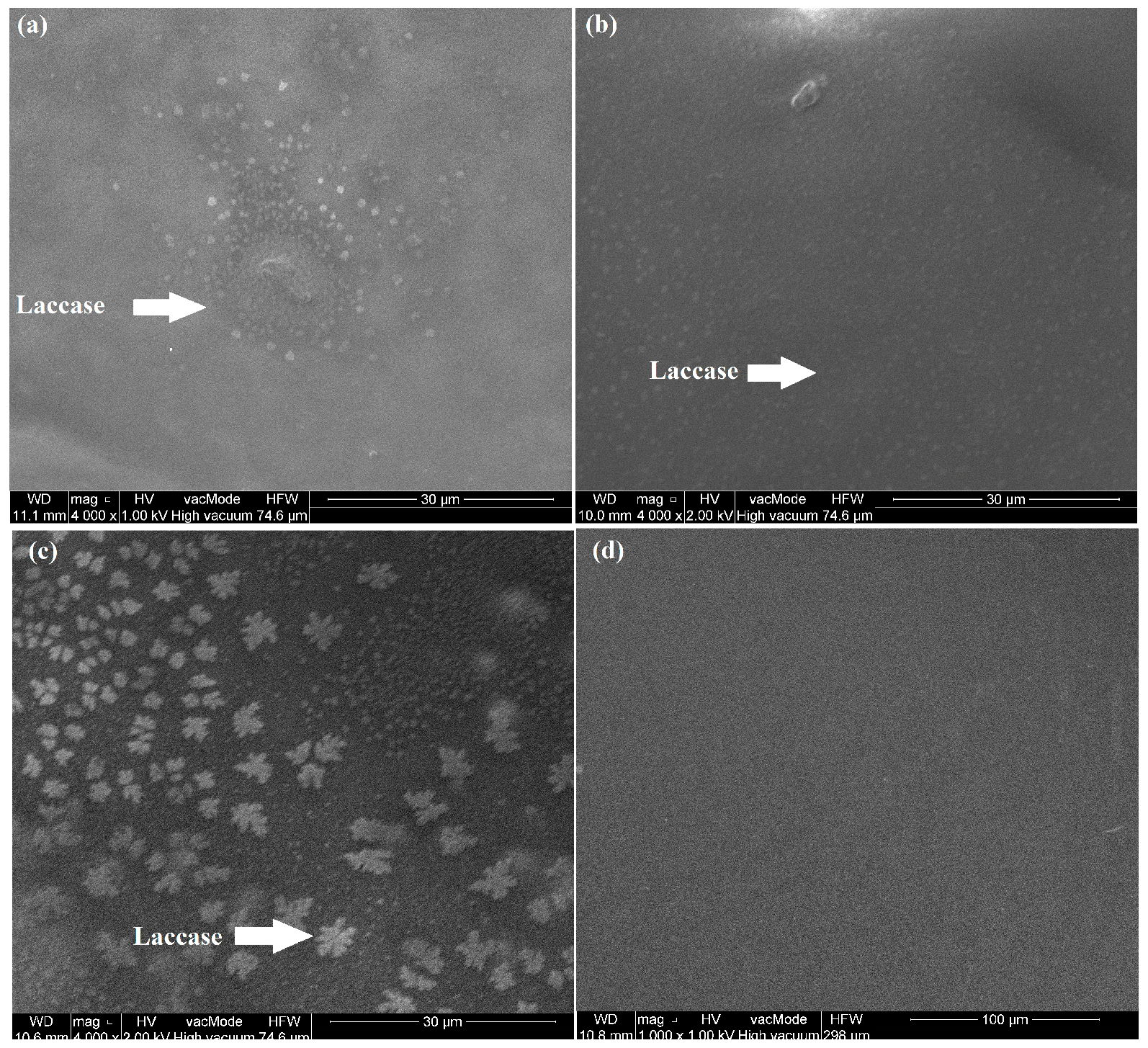 Sensors 18 04086 g001 550