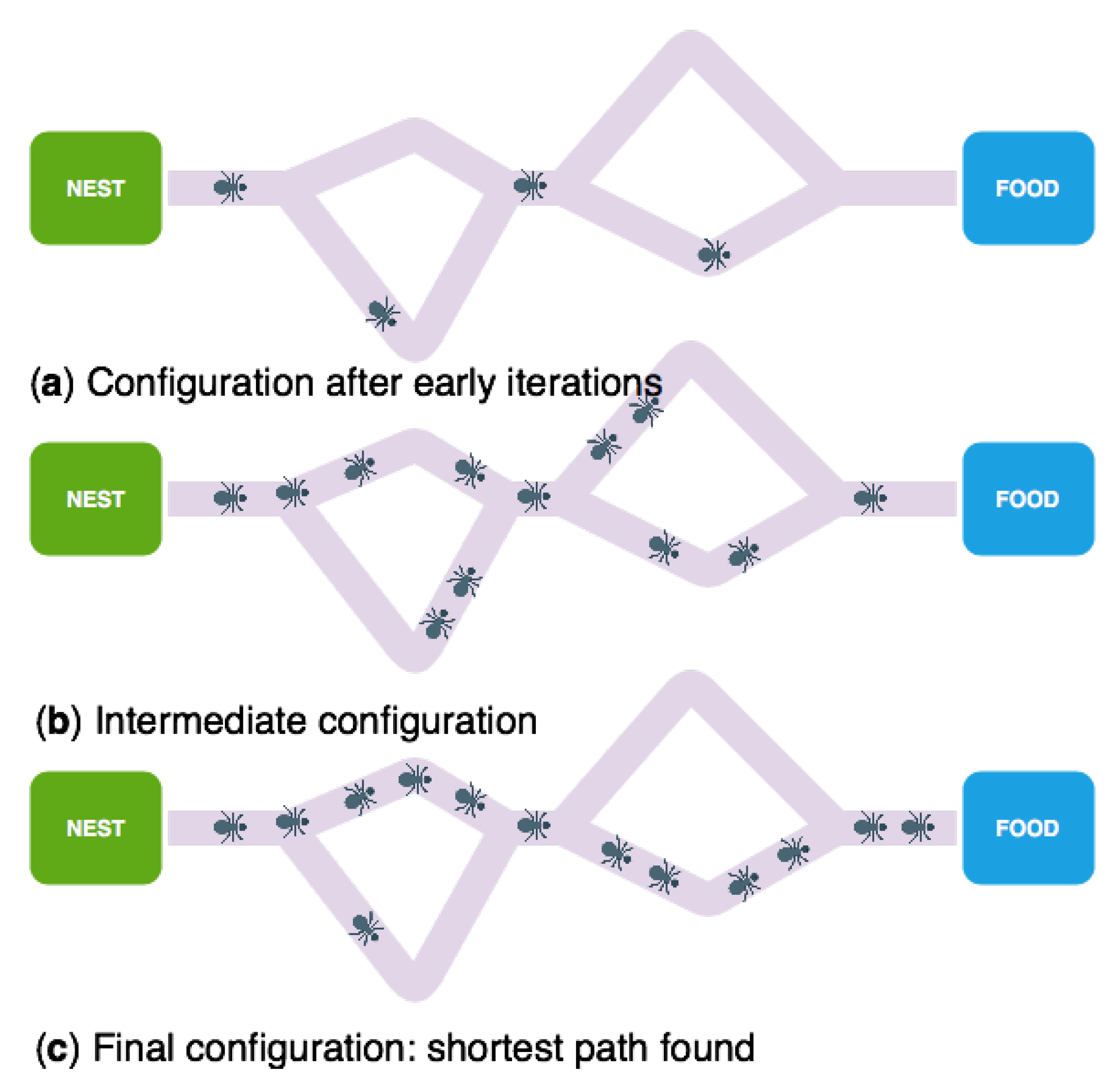 Sensors 18 04094 g005