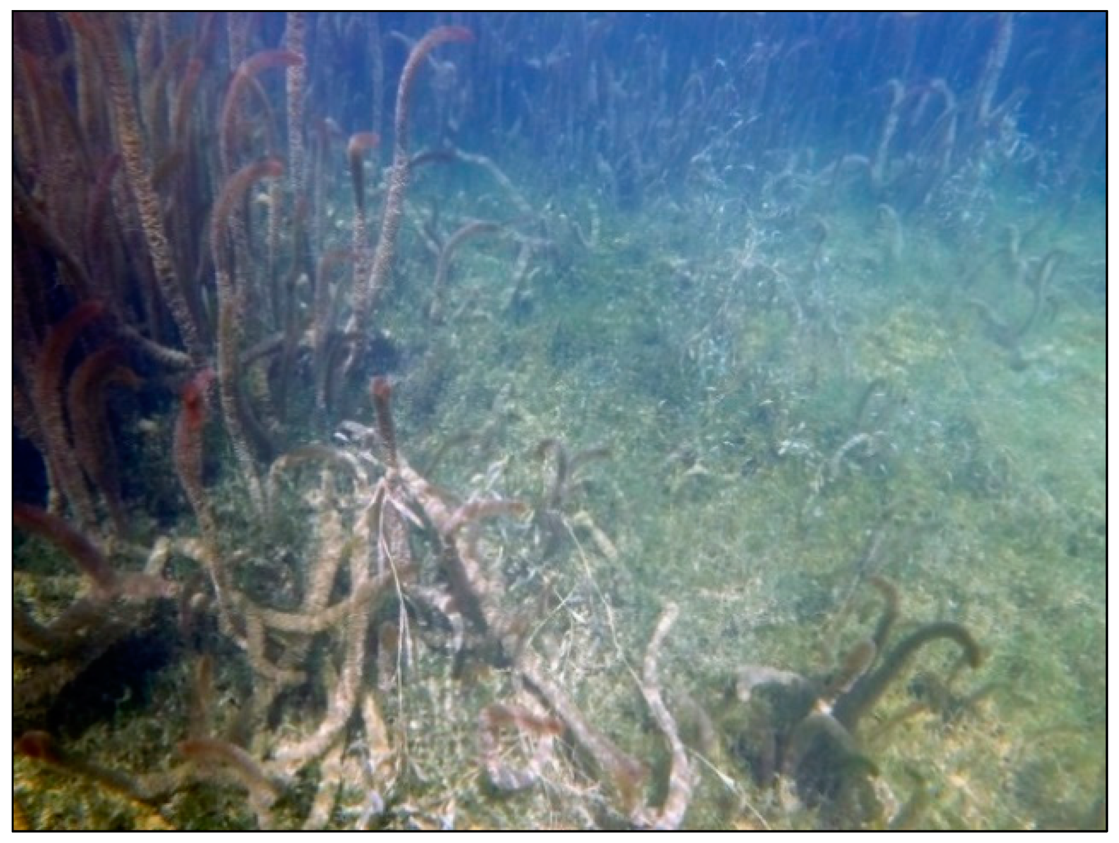 Sensors 18 04153 g005 550