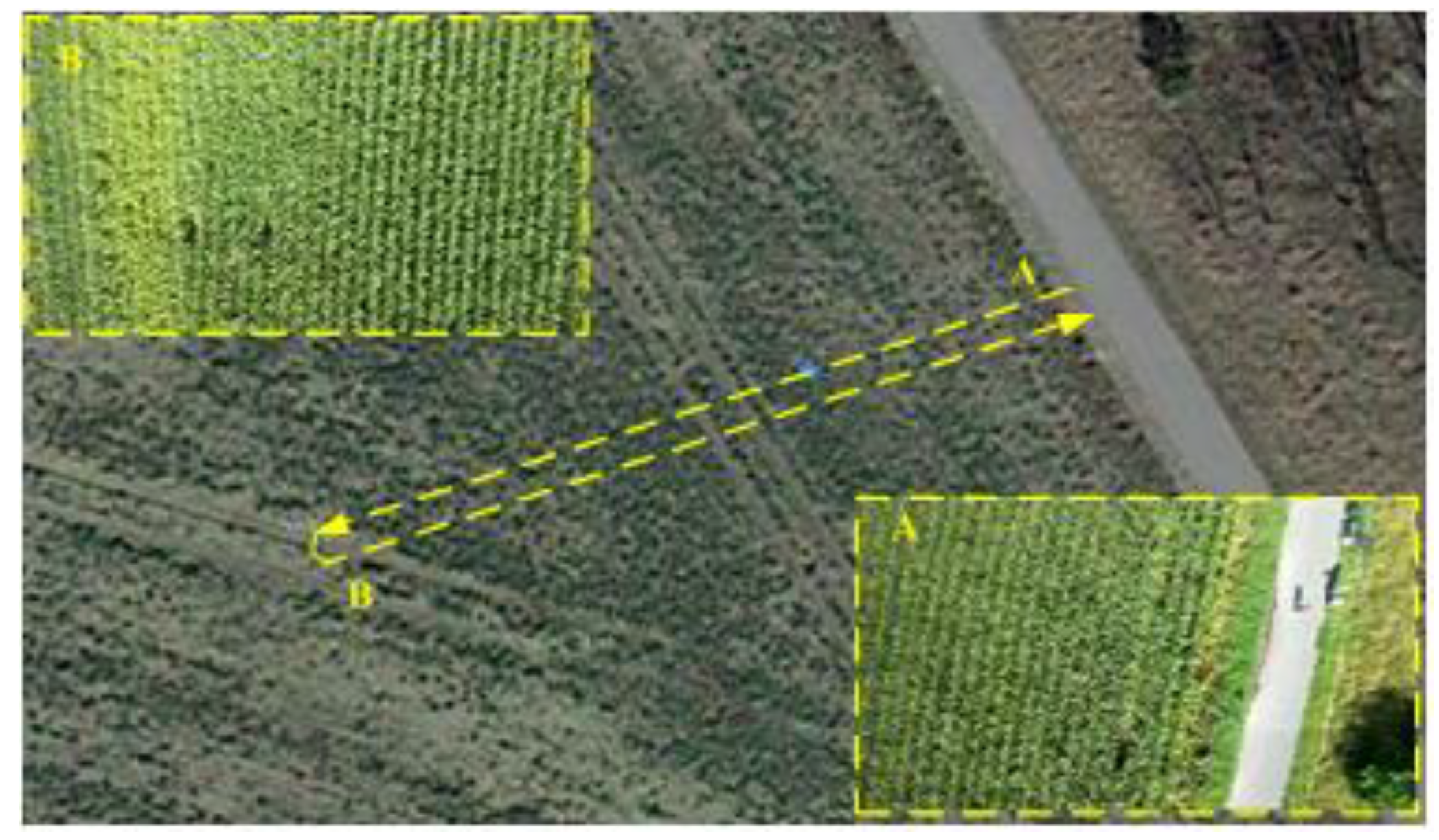 Sensors 18 04161 g015 Sensors 18 04161 g015