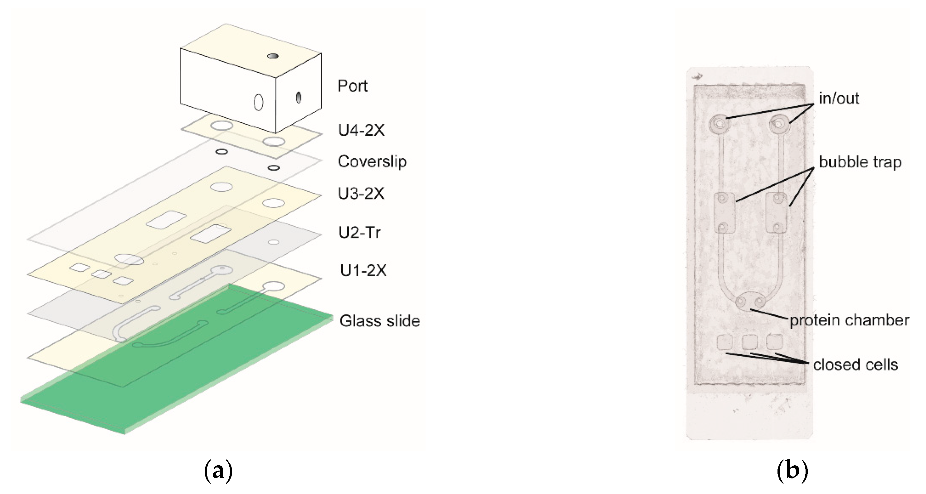 Sensors 18 04223 g002 Sensors 18 04223 g002