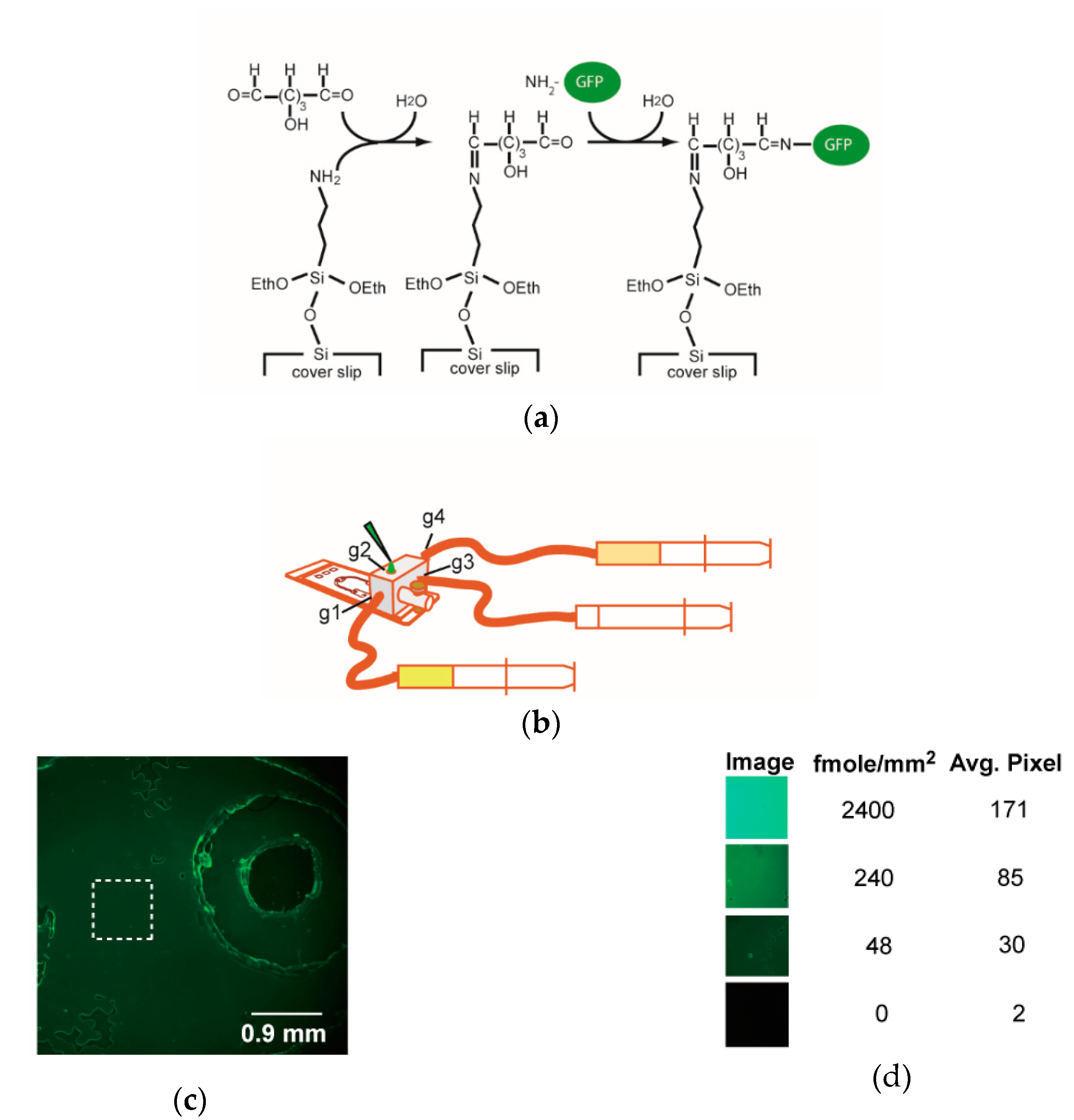 Sensors 18 04223 g004 Sensors 18 04223 g004