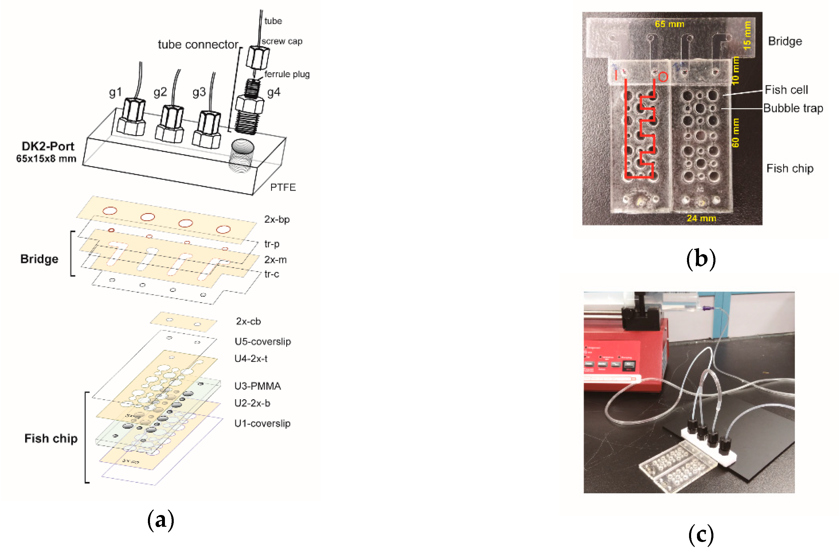 Sensors 18 04223 g005 Sensors 18 04223 g005