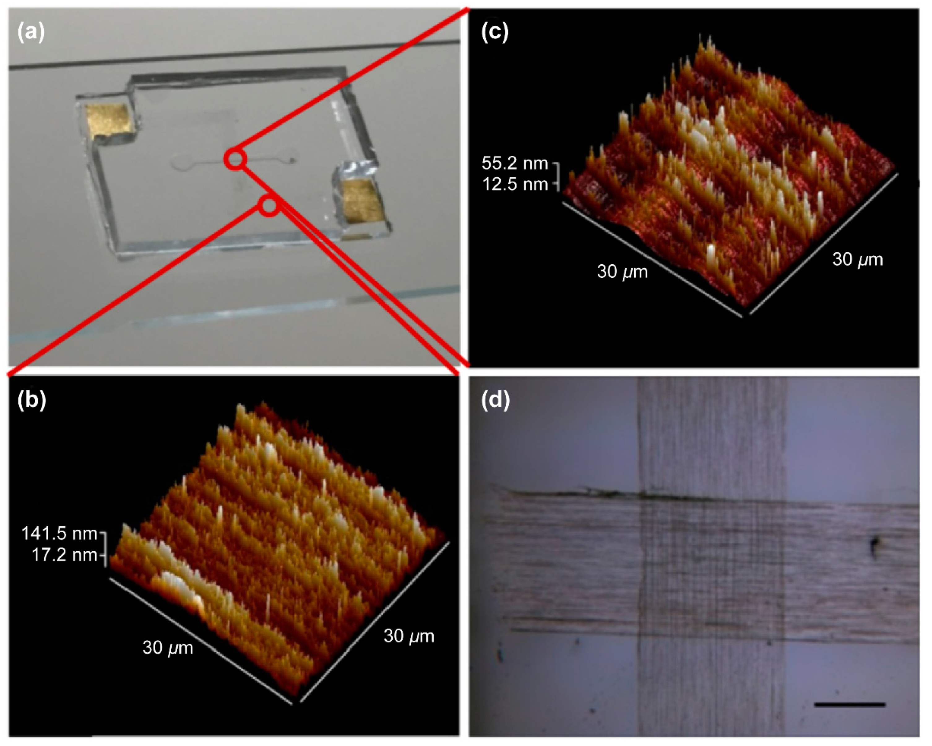 Sensors 18 04235 g001 Sensors 18 04235 g001