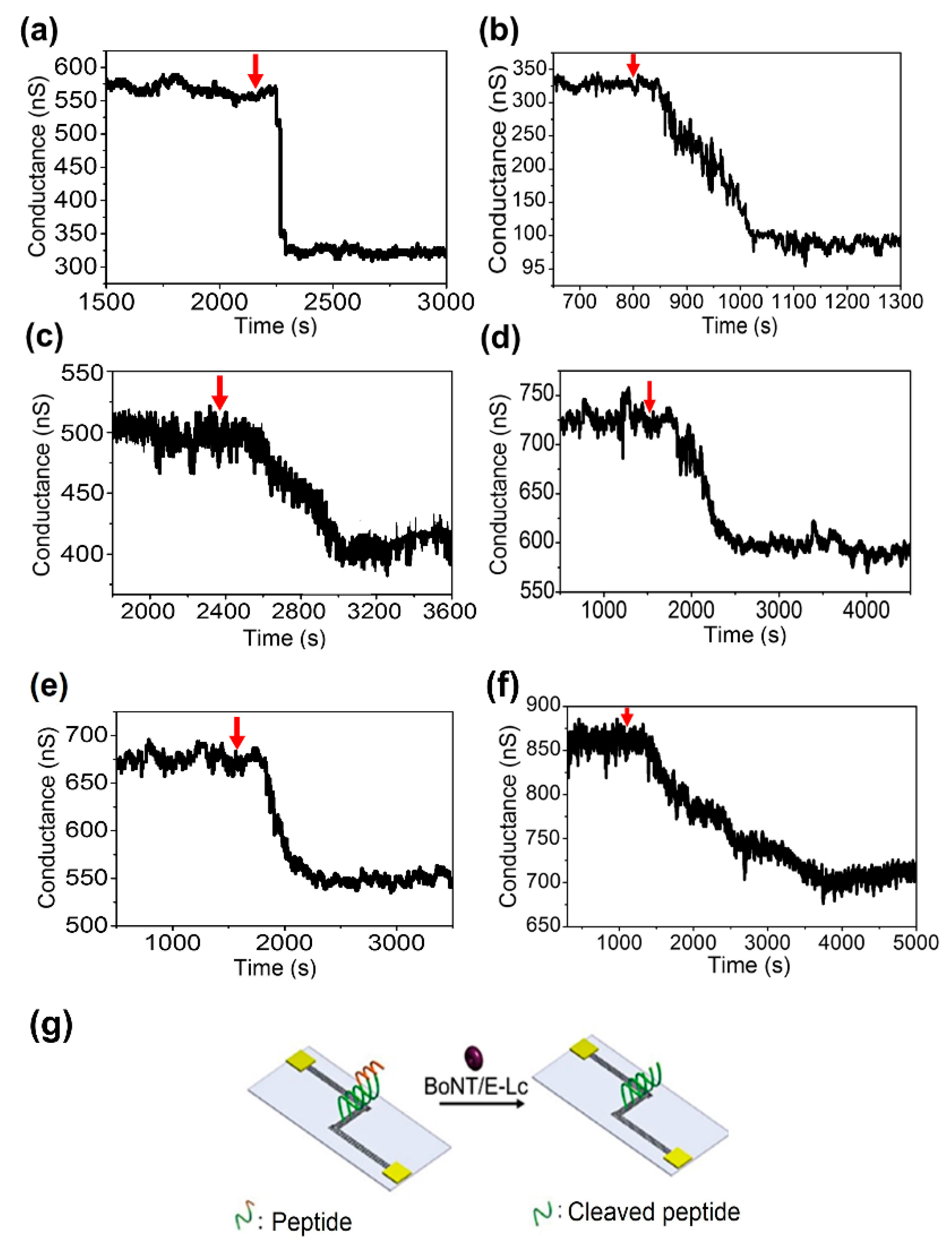 Sensors 18 04235 g004 Sensors 18 04235 g004