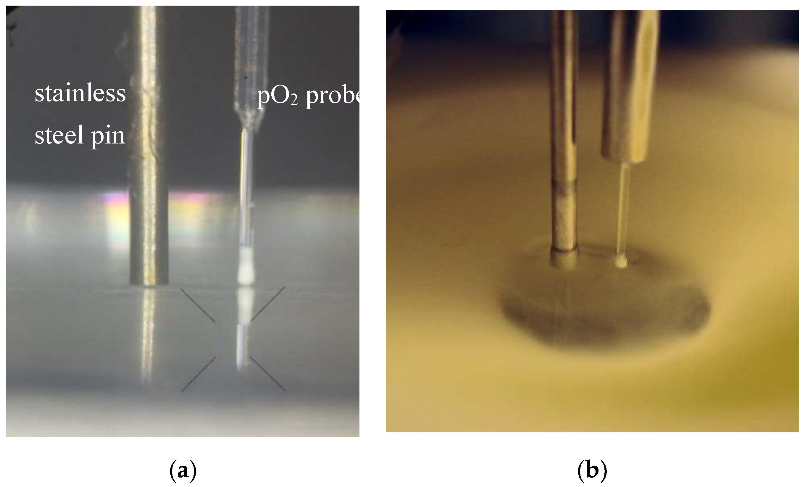 Sensors 18 04247 g0a2
