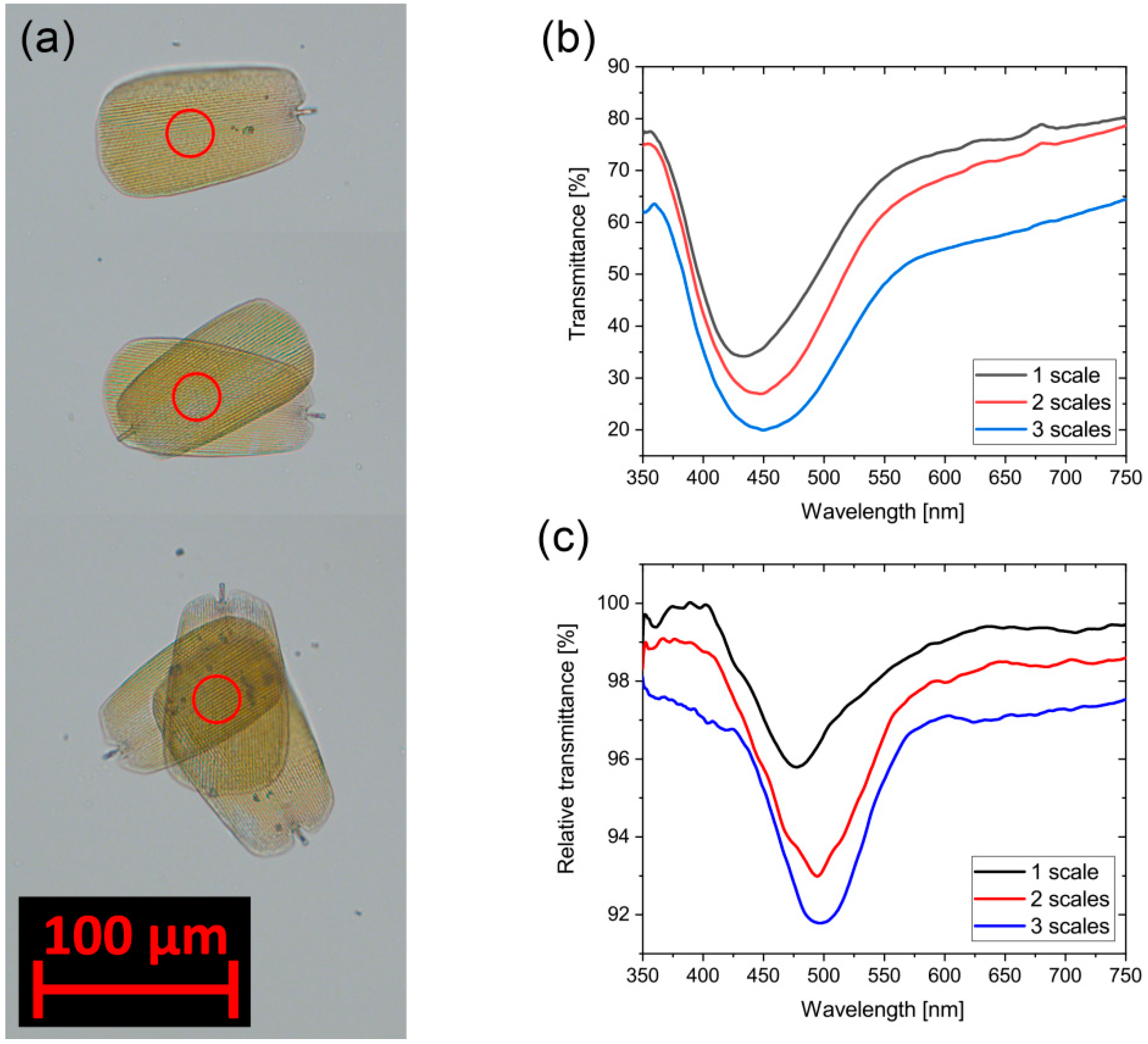 Sensors 18 04282 g007