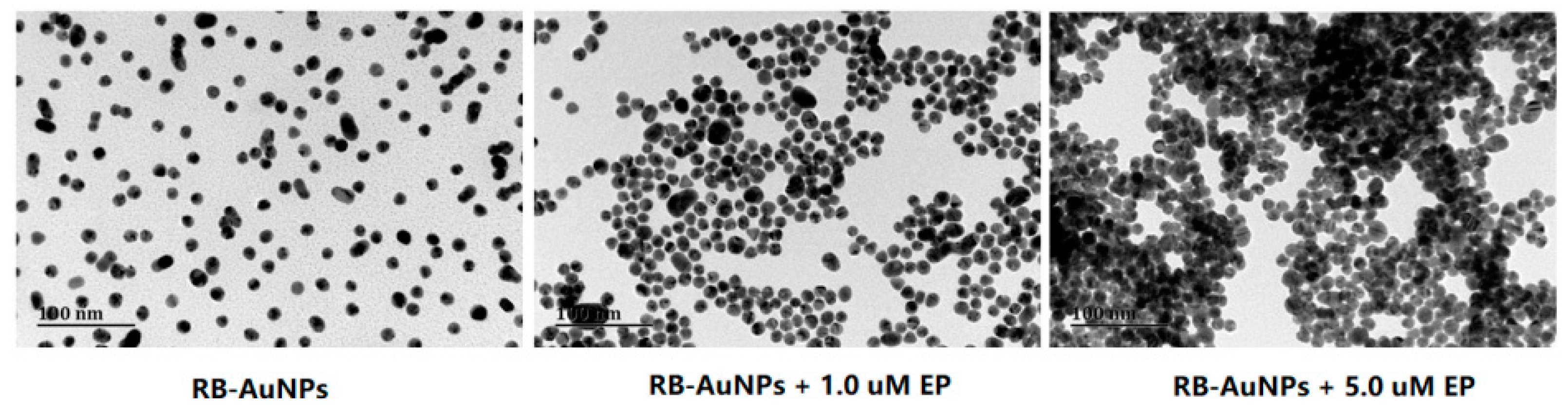 Sensors 18 04302 g004 Sensors 18 04302 g004
