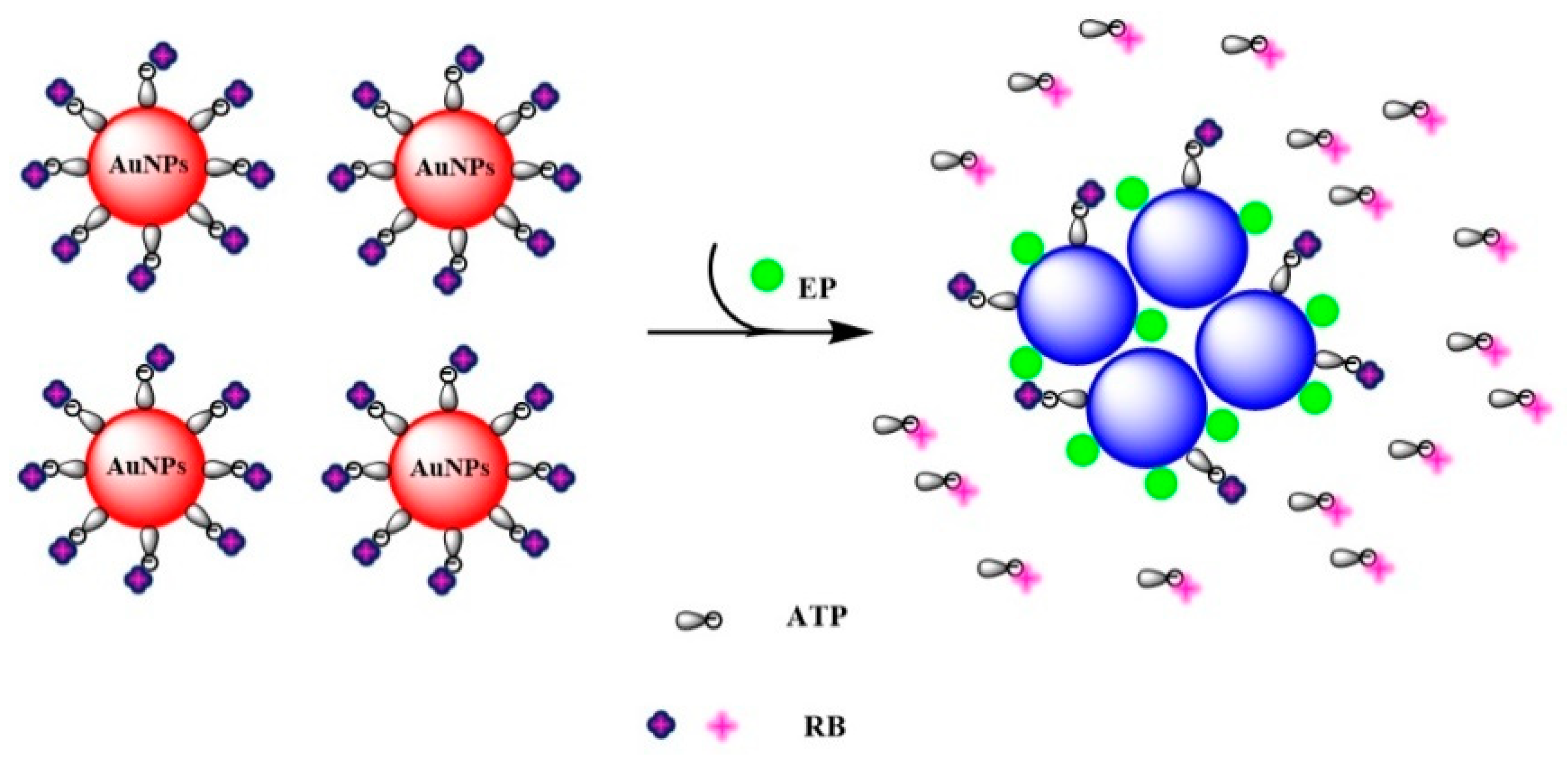 Sensors 18 04302 sch001 Sensors 18 04302 sch001