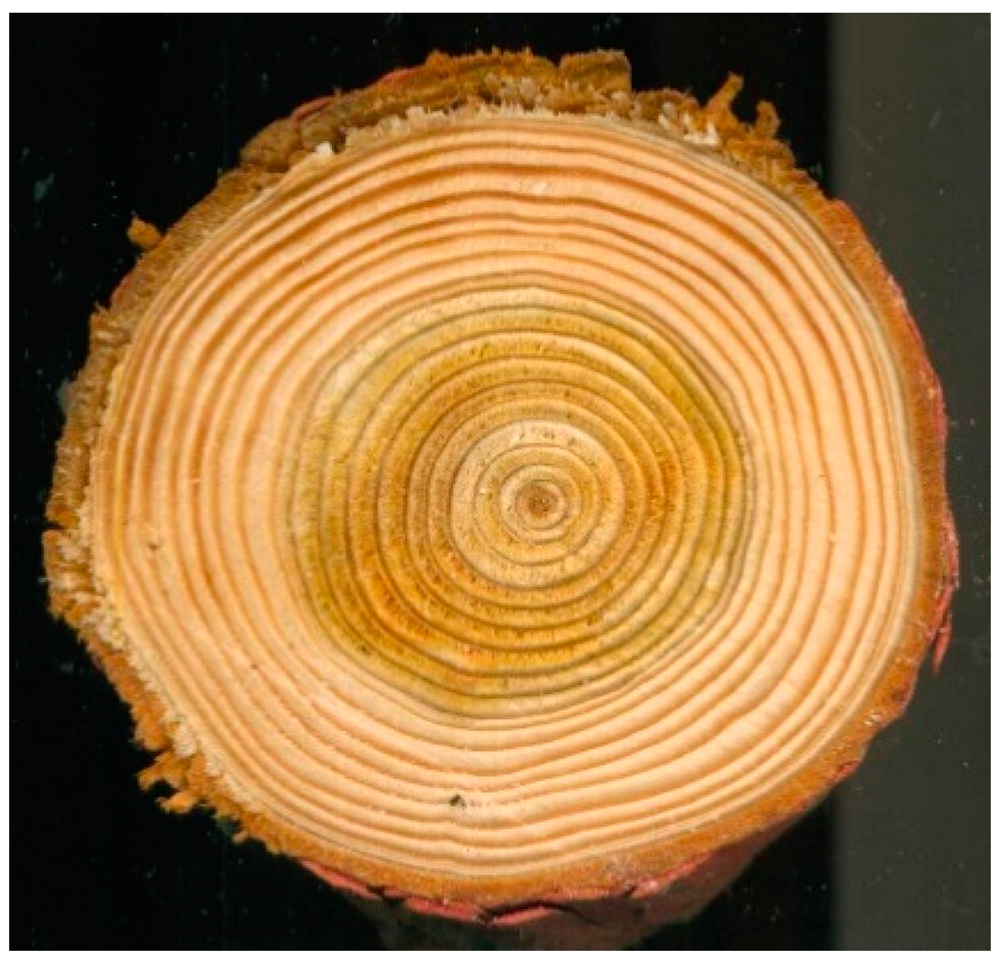 Sensors 18 04306 g001